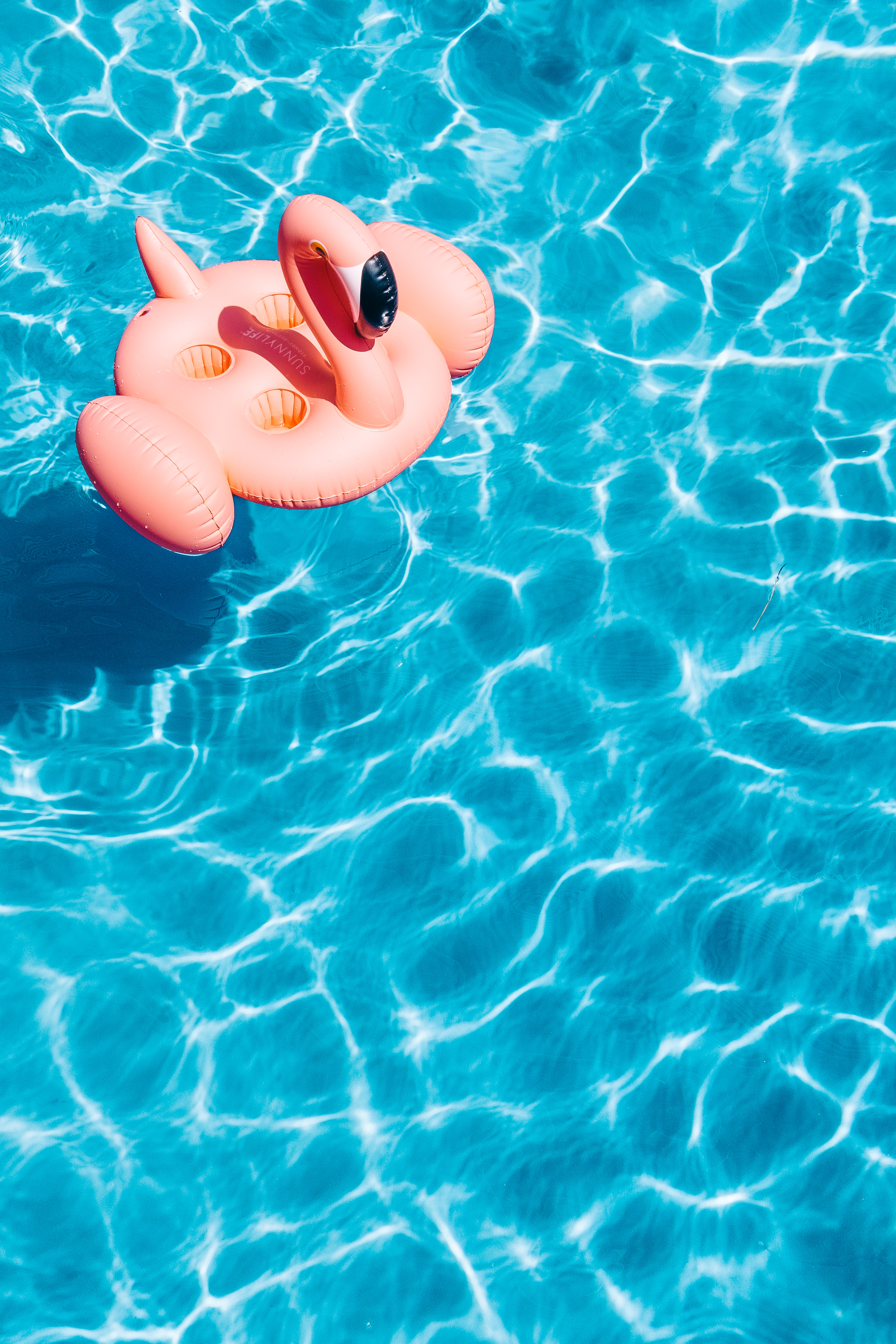 summer, flamingo, pool, water, minimalism