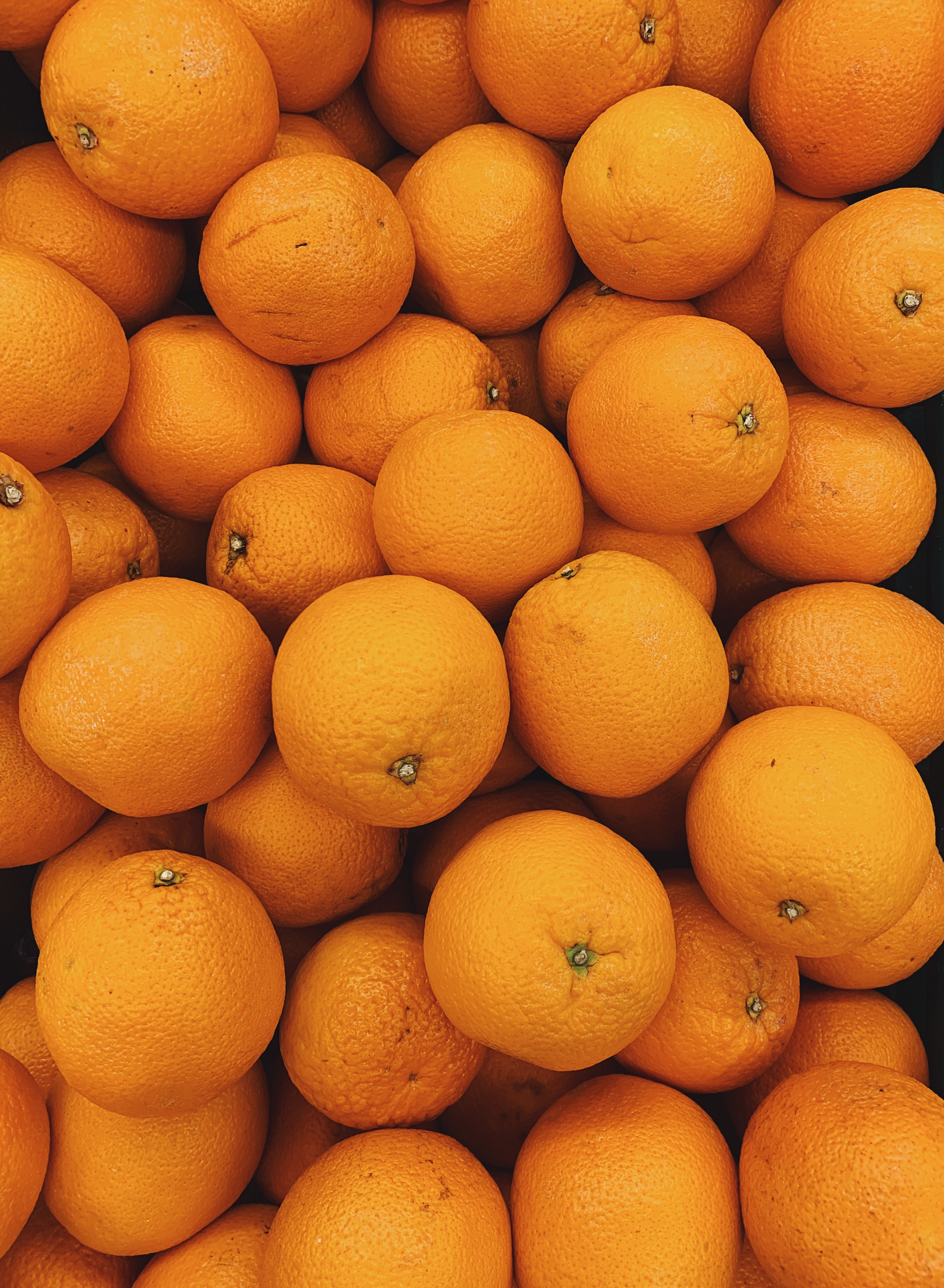 56833 Bildschirmschoner und Hintergrundbilder Oranges auf Ihrem Telefon. Laden Sie obst, zitrus, tropisch, tropischen Bilder kostenlos herunter