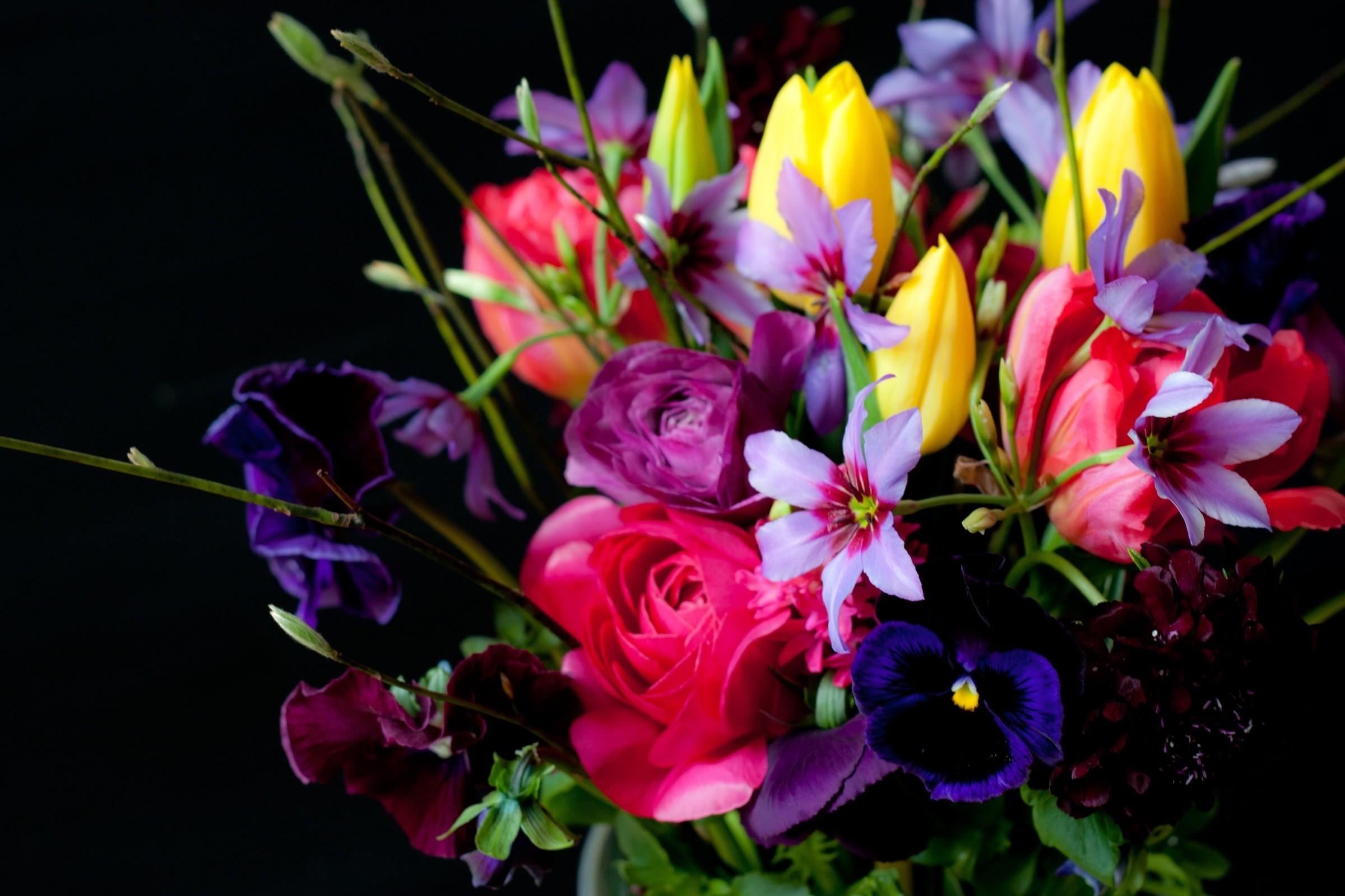 Laden Sie das Blumen, Stiefmütterchen, Tulpen, Strauß, Bouquet, Schwarzer Hintergrund, Ranunkel, Ranunkulus-Bild kostenlos auf Ihren PC-Desktop herunter