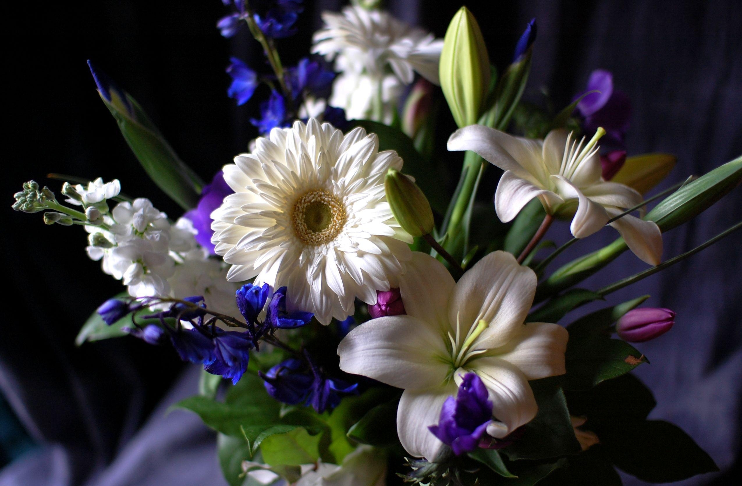 composition, flowers, lilies, gerberas, registration, typography, bouquet, levkoy, gillyflower 5K