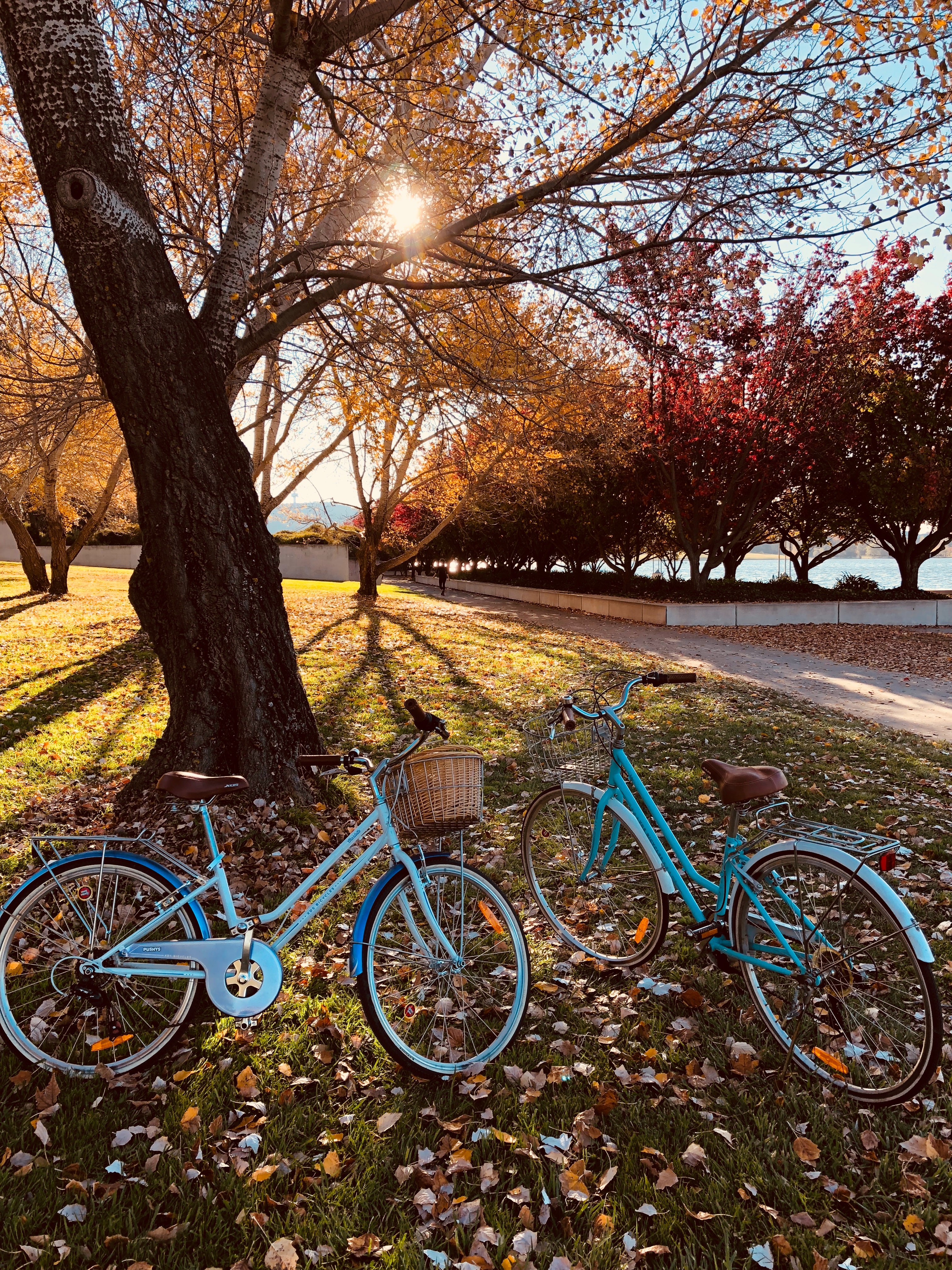 miscellanea, miscellaneous, autumn park, bicycles Stroll Cellphone FHD pic