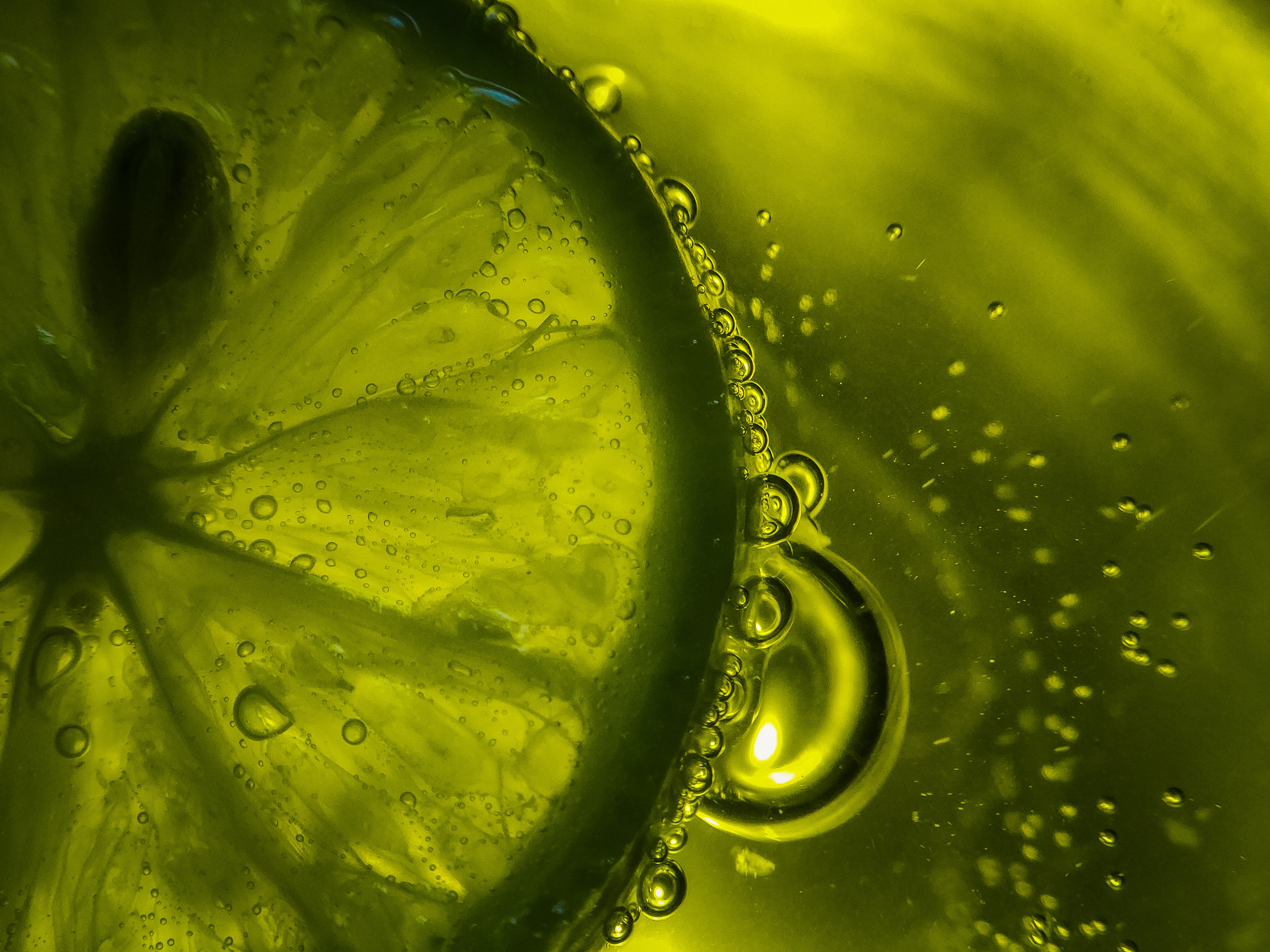 Laden Sie das Wasser, Bubbles, Lime, Makro, Lobule, Nelke-Bild kostenlos auf Ihren PC-Desktop herunter