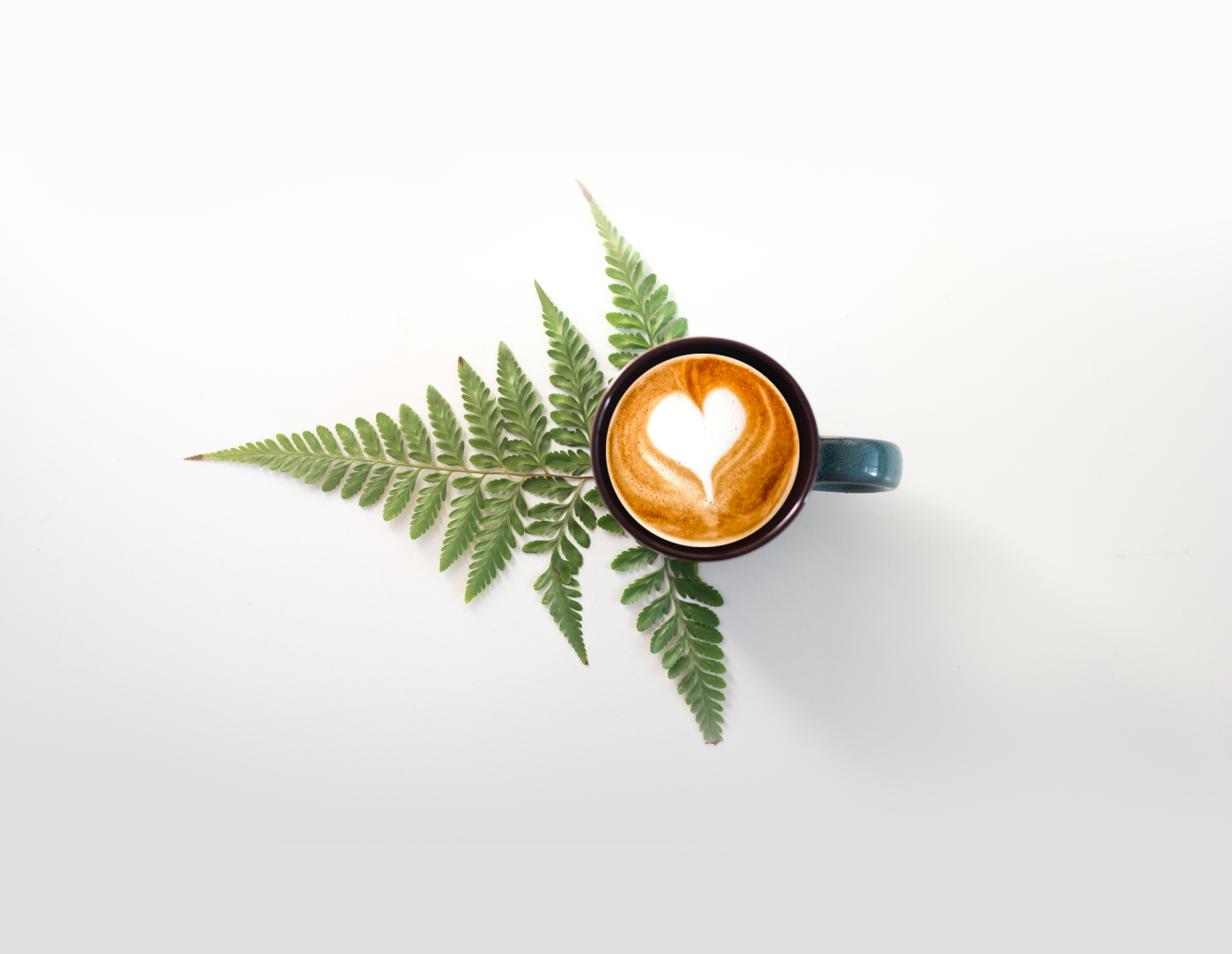 cup, beverage, food, fern, pattern, cappuccino, drink HD wallpaper