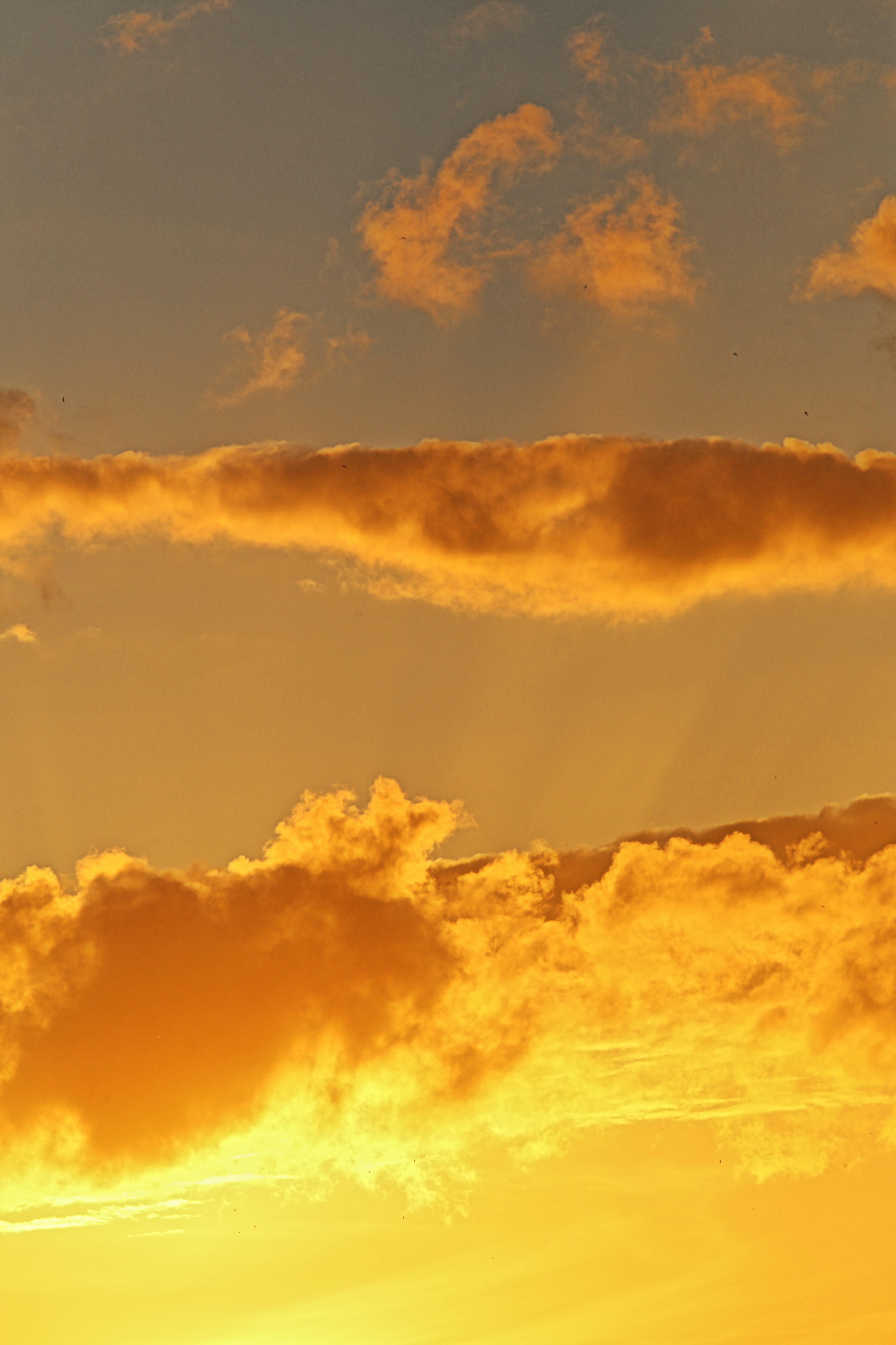 57216 Hintergrundbild herunterladen natur, sunset, sky, clouds, gold, golden - Bildschirmschoner und Bilder kostenlos