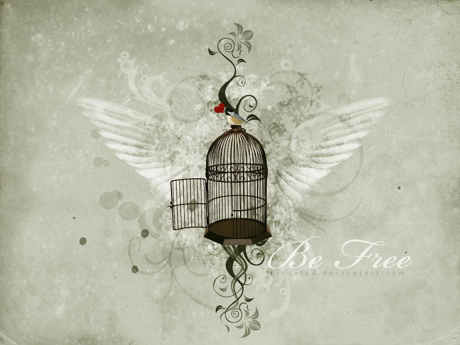 HD desktop wallpaper: Bird, Wings, Heart, Artistic, Other, Birdcage  download free picture #762015