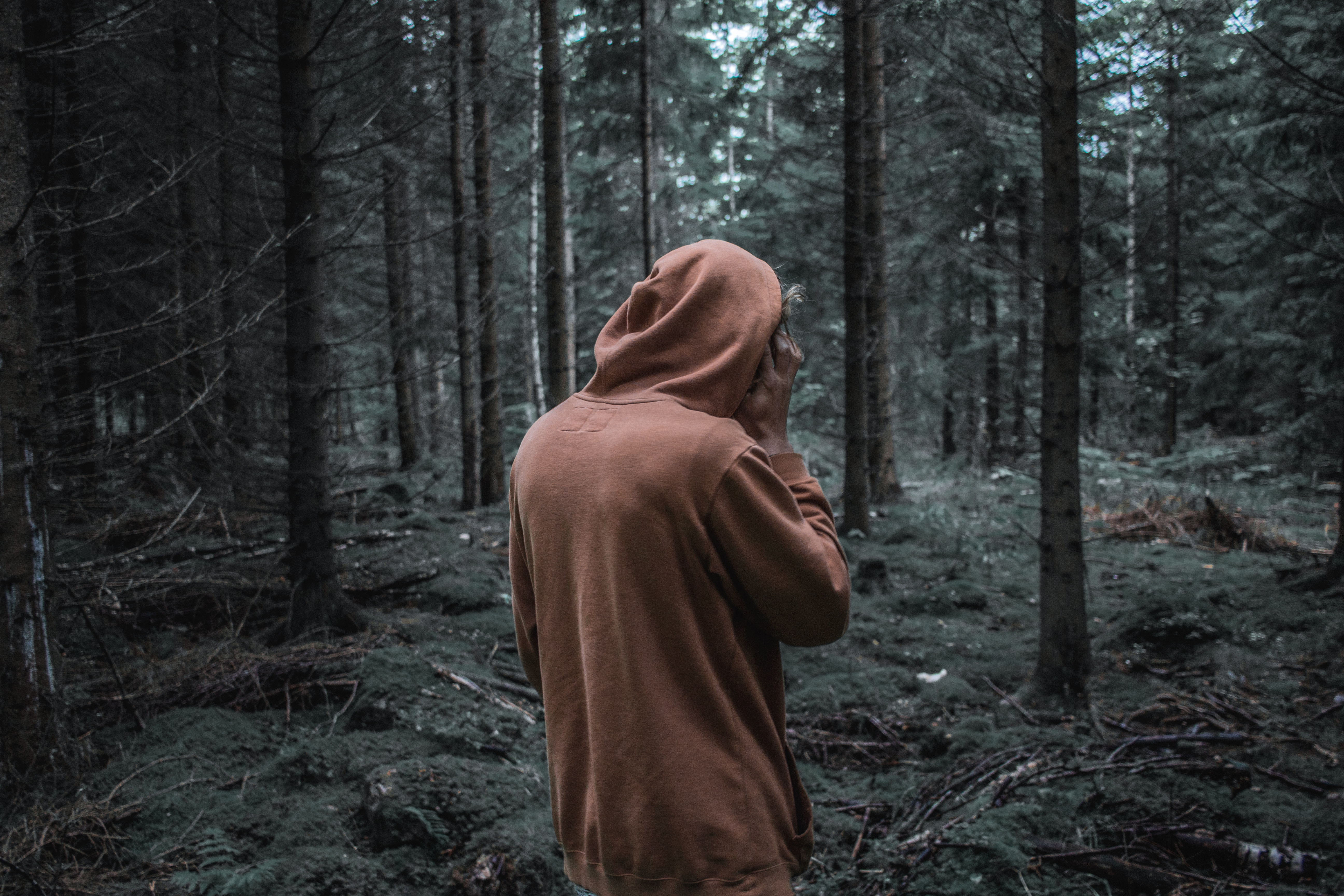 75280 Screensavers and Wallpapers Person for phone. Download miscellanea, miscellaneous, forest, stroll, human, person, hoody, sweatshirt pictures for free