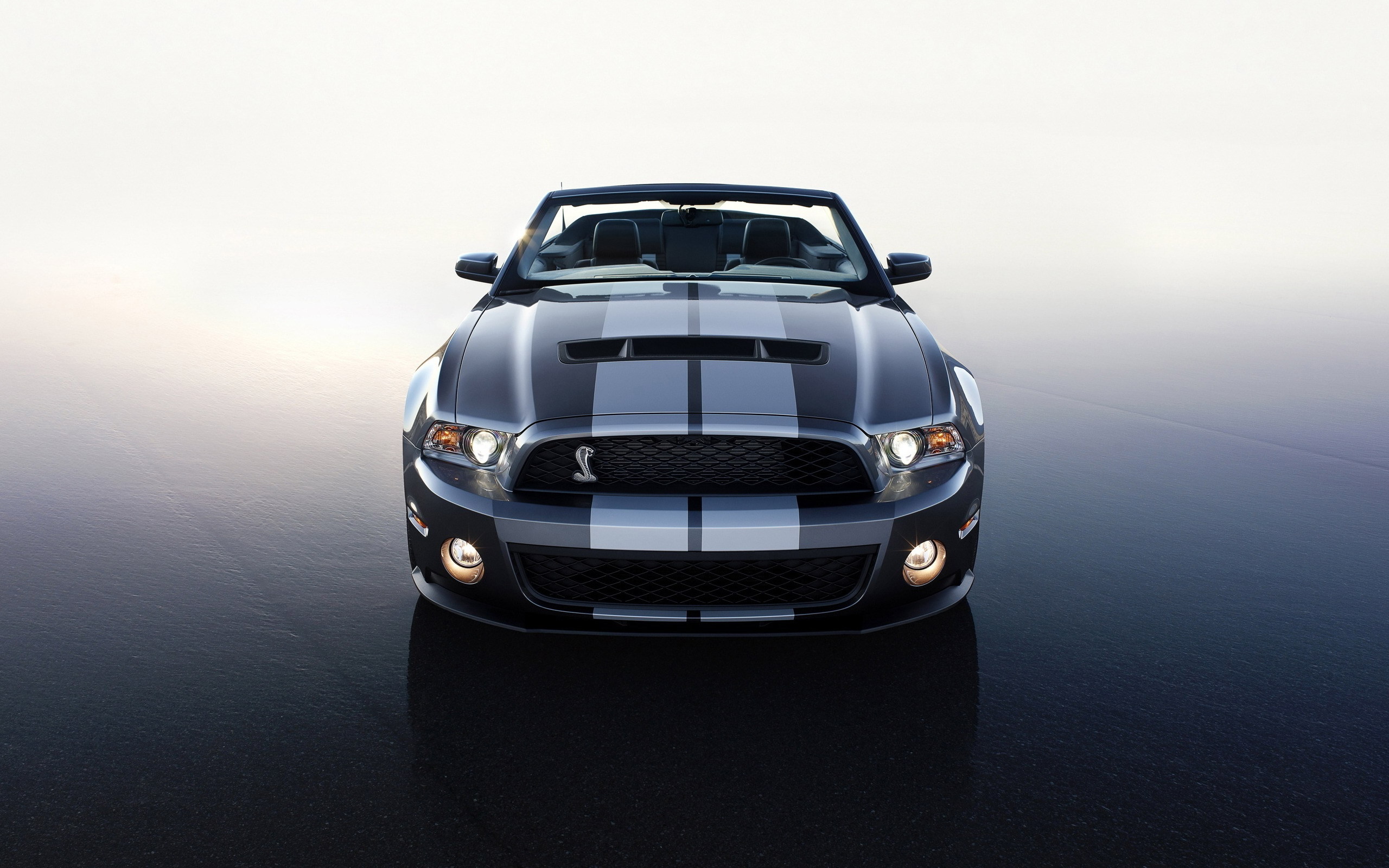 29555 free wallpaper 480x800 for phone, download images mustang, auto, transport 480x800 for mobile