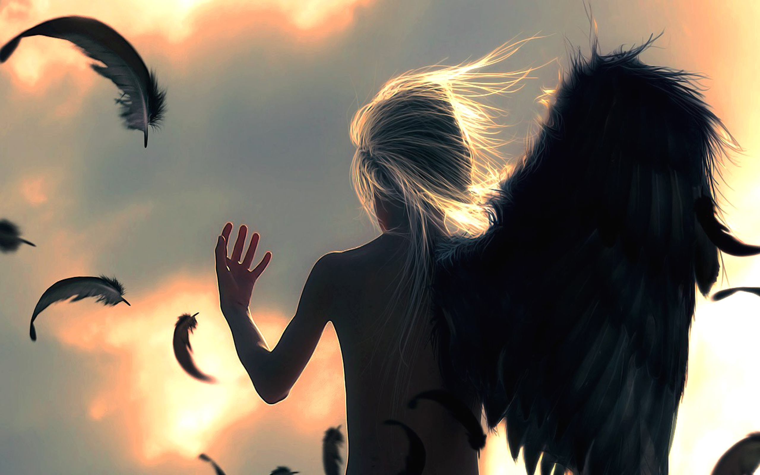 fantasy, angel, feather QHD