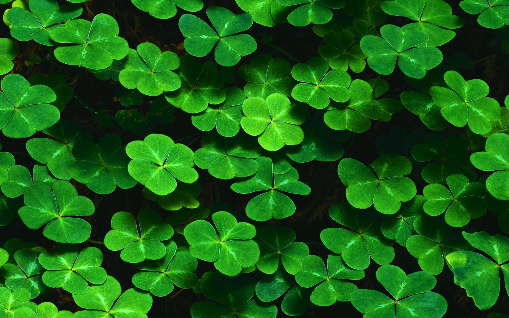 23751 free download Green wallpapers for phone,  Green images and screensavers for mobile