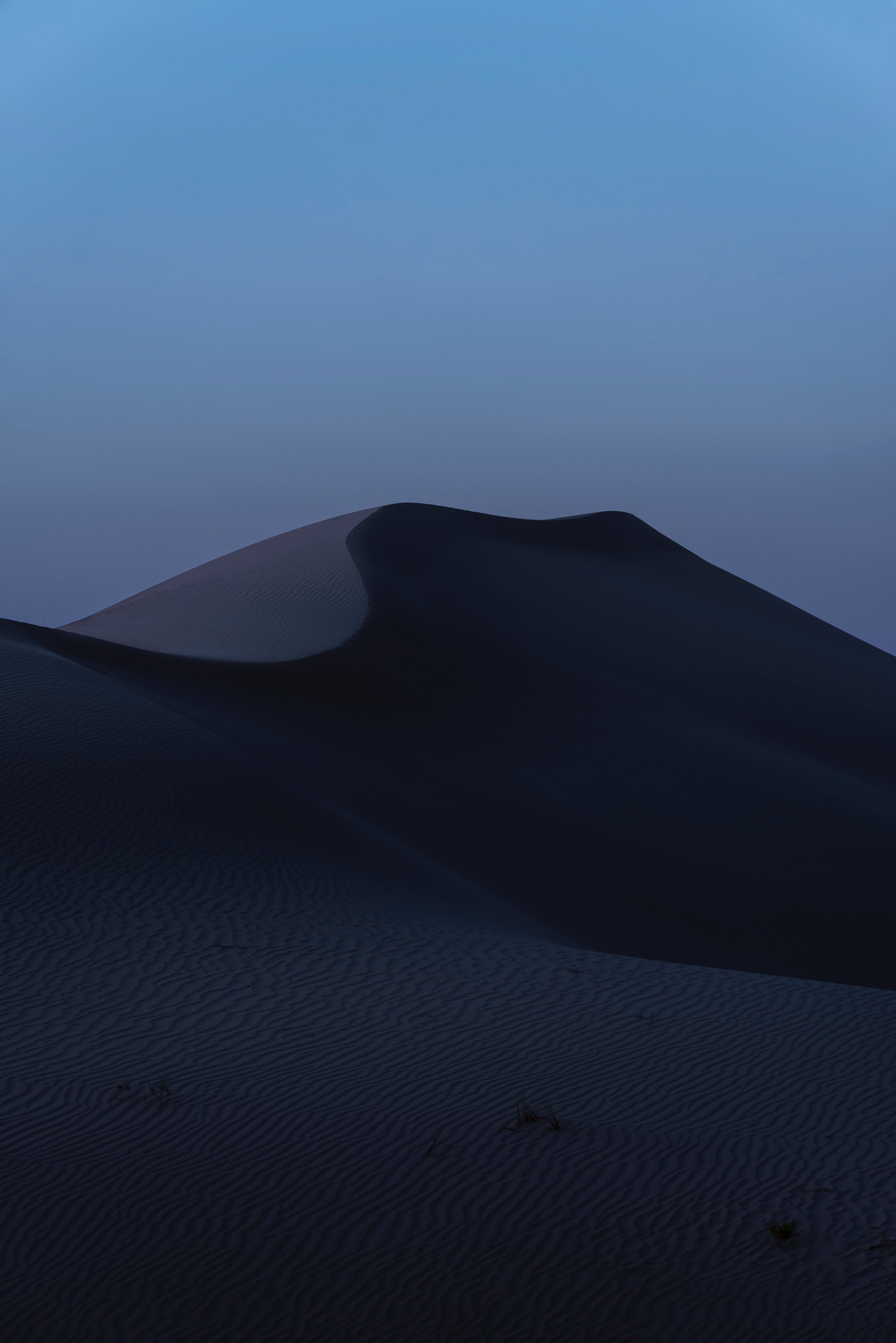 sunset, twilight, relief, desert, dunes, links, nature, dusk, sand 32K