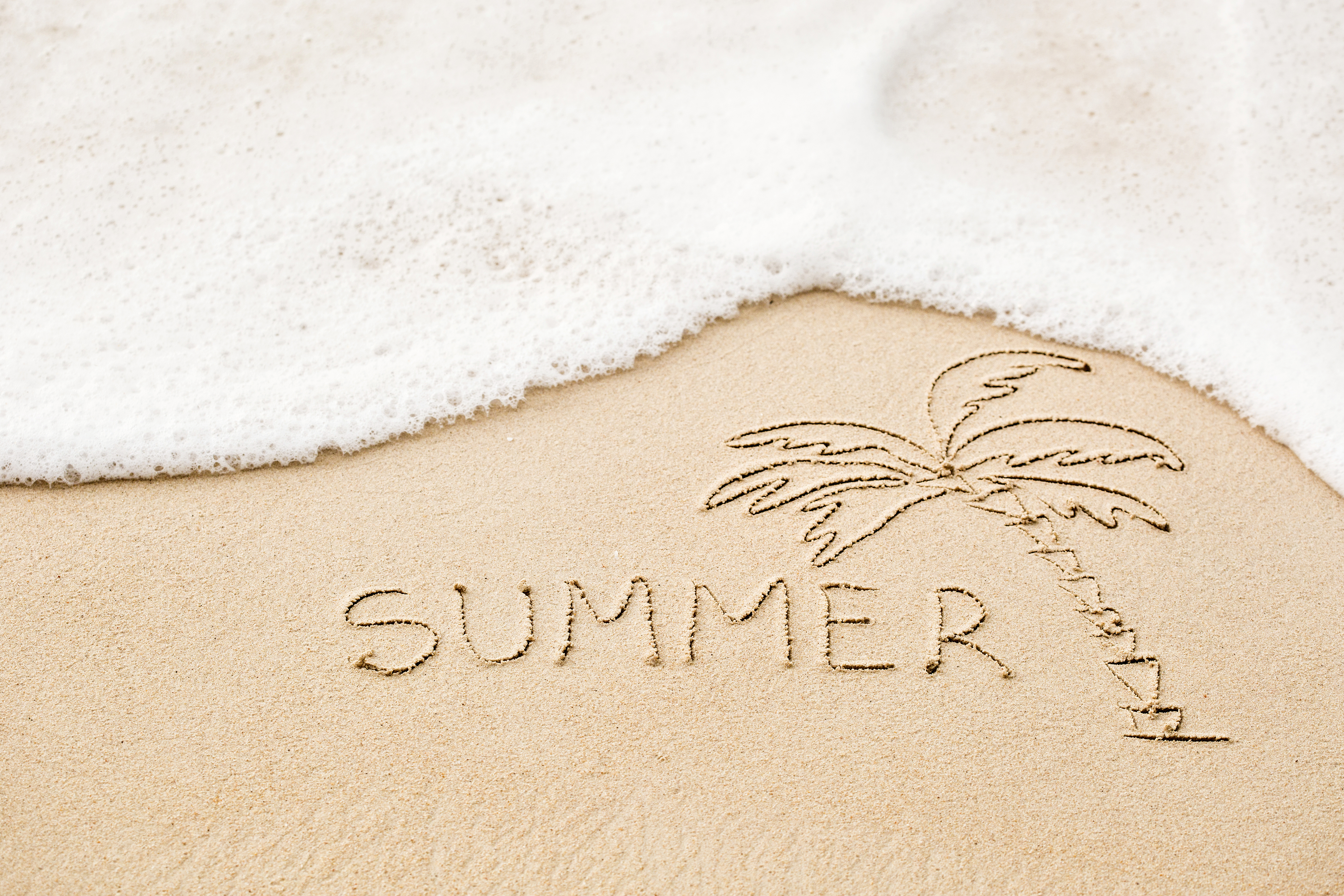artistic, summer, foam, palm tree, sand
