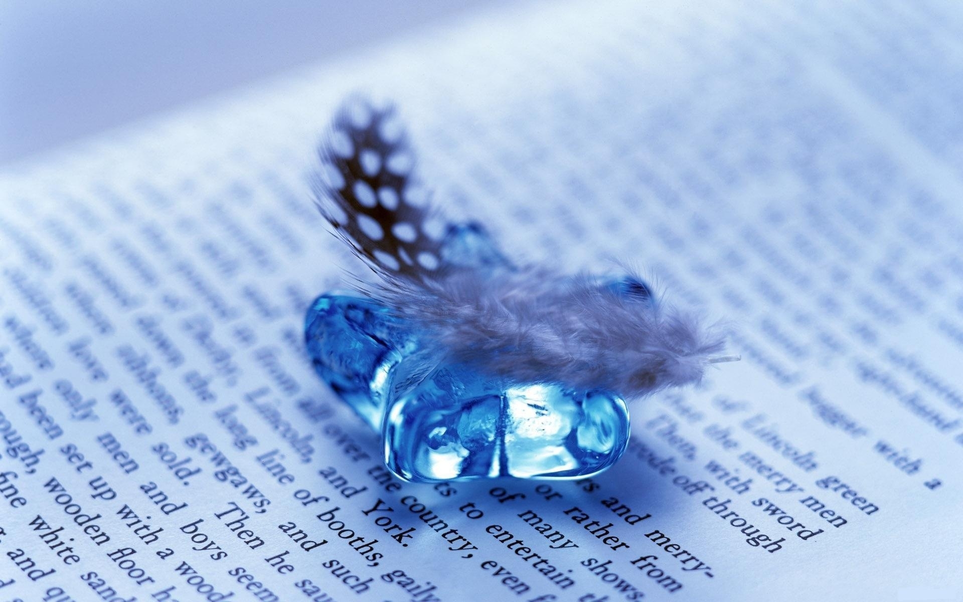 background, feather, blue High Definition image