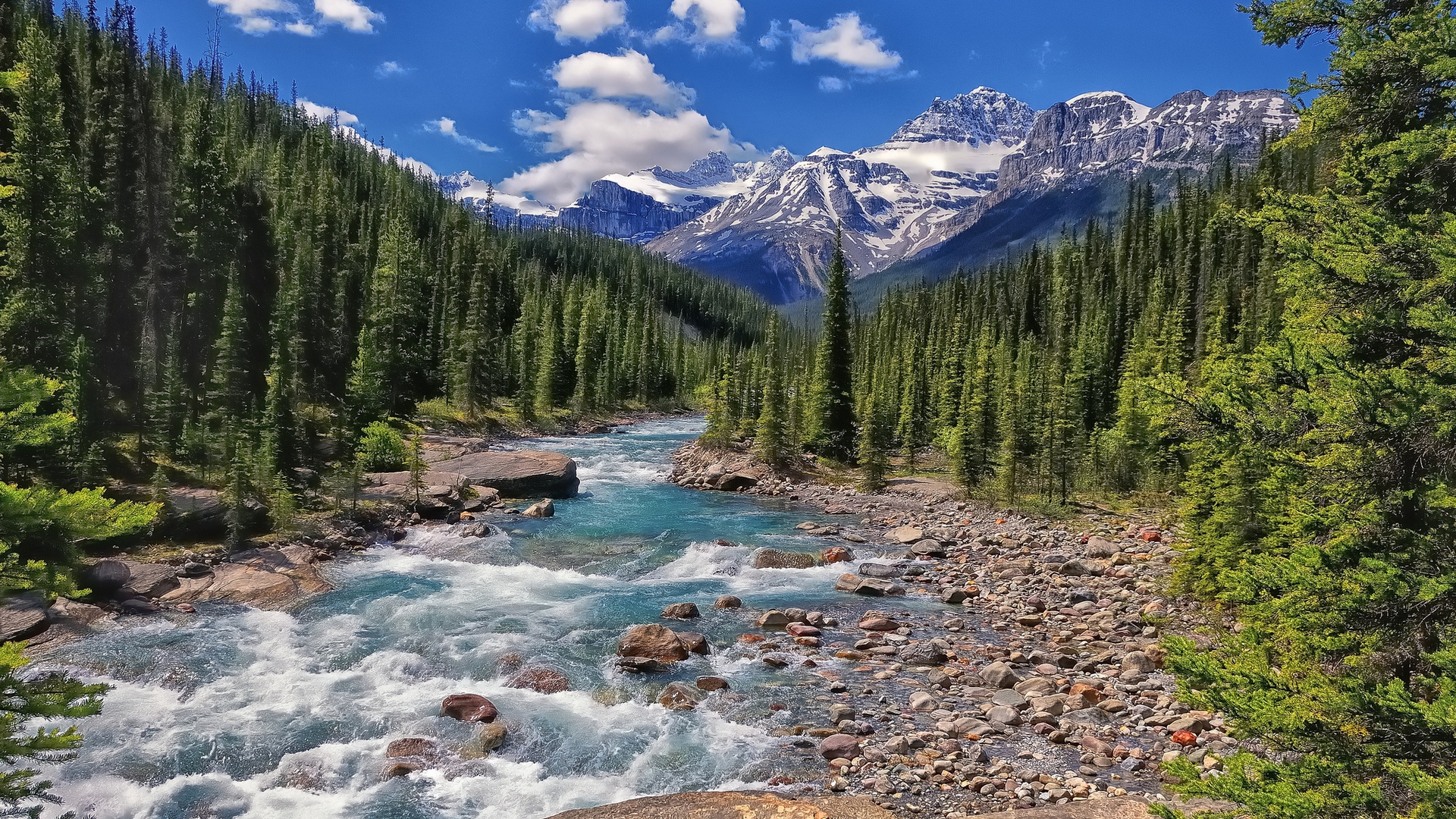 canada, alberta, earth, river, banff national park, banff, forest, mistaya river, mountain phone wallpaper