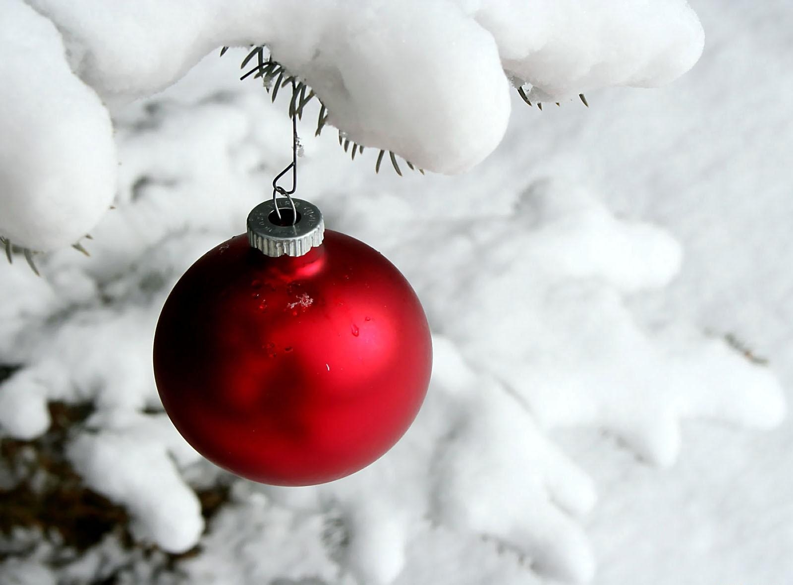 110154 Bild herunterladen feiertage, nadeln, schnee, ast, zweig, hängen, ball, weihnachtsbaum spielzeug, aufhängen - Hintergrundbilder und Bildschirmschoner kostenlos