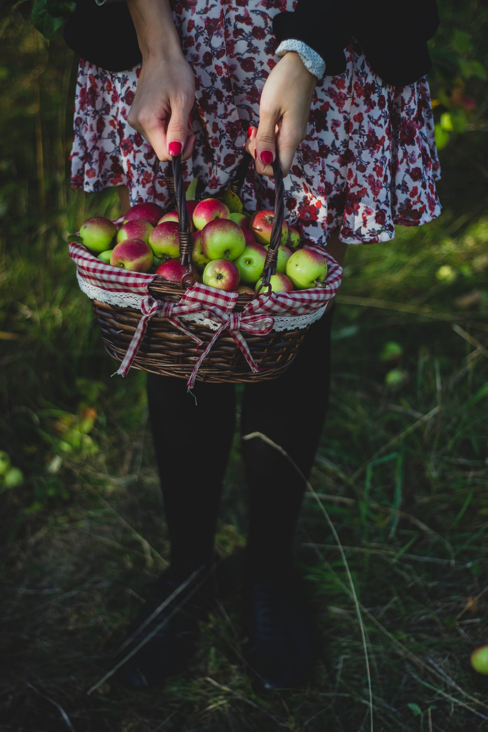 59362 download wallpaper food, apples, girl, basket, harvest screensavers and pictures for free