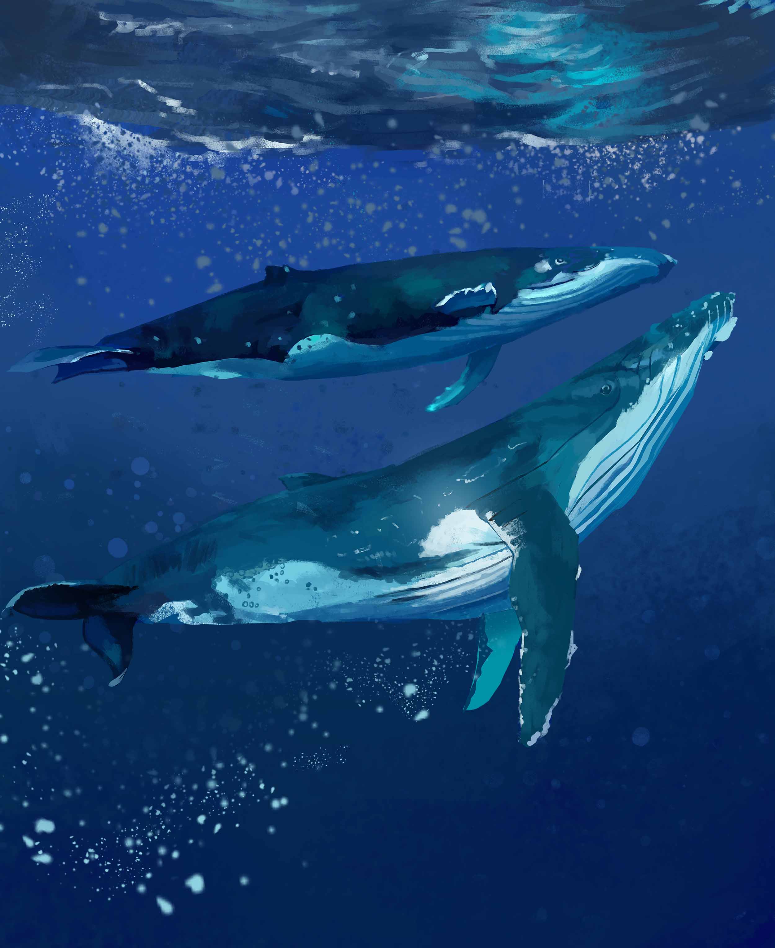 art, underwater, water, sea, whales, under water 8K