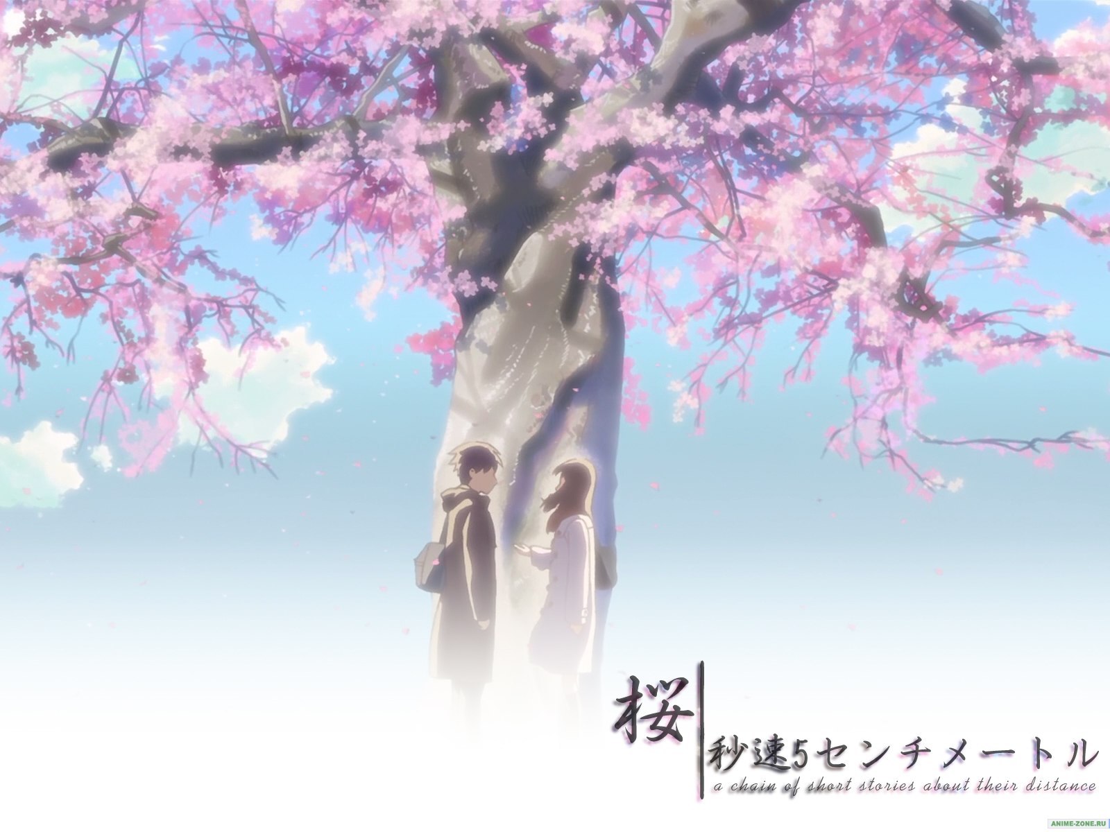 anime, sakura wallpaper for mobile