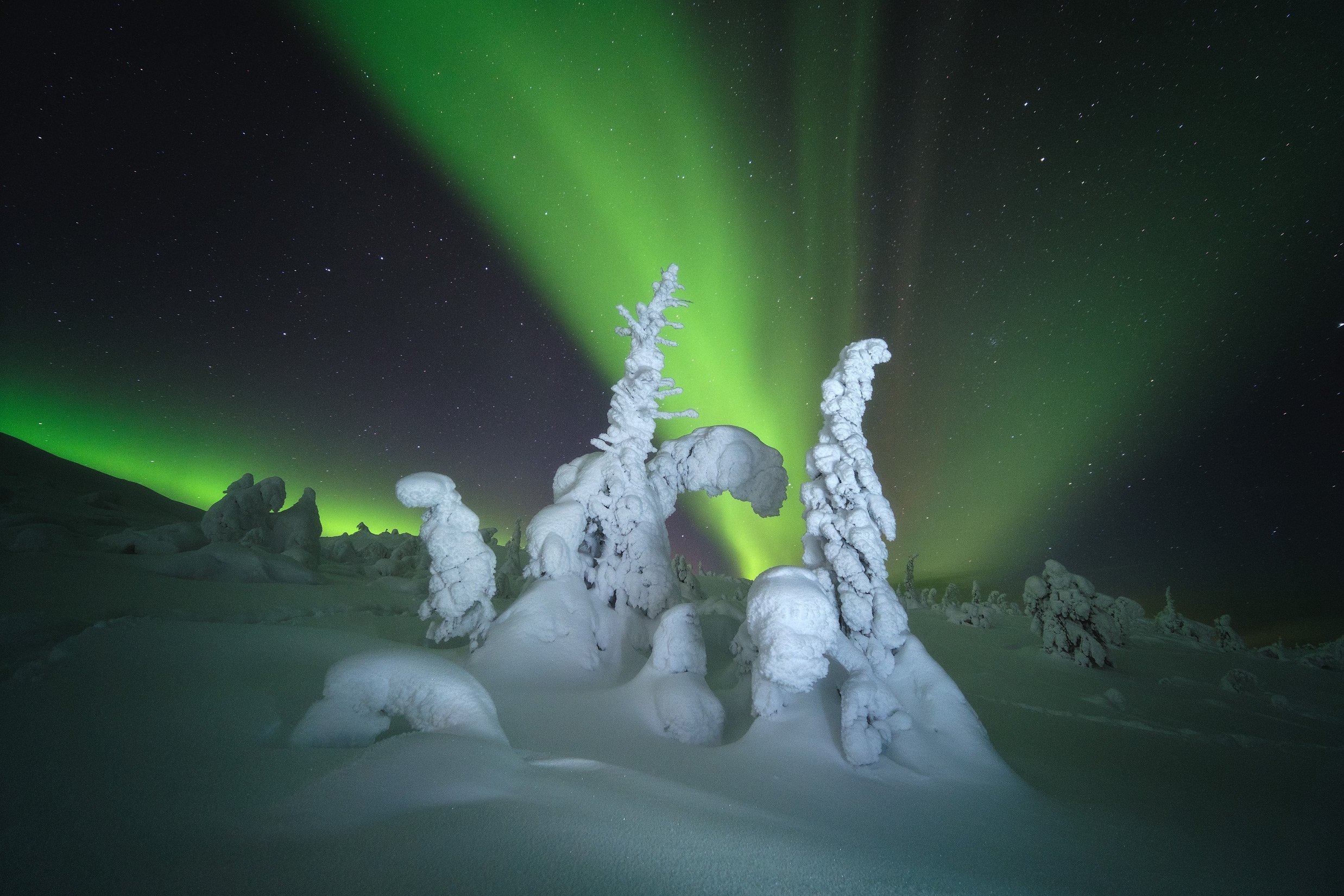 Winter nature, snow, earth, aurora borealis HD desktop images