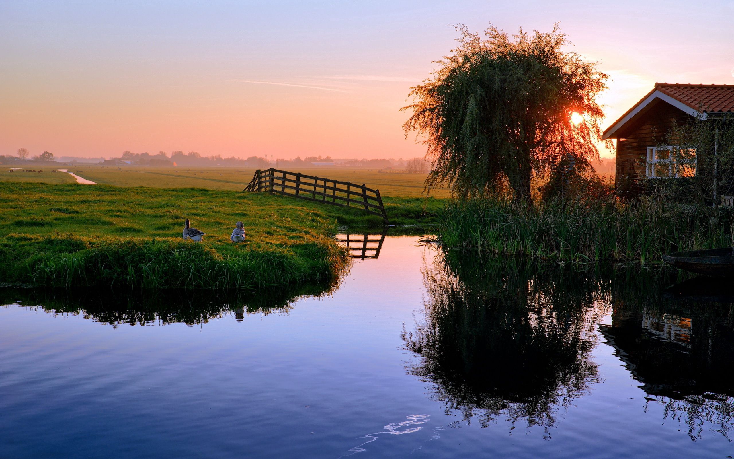 Laden Sie das Natur, Sunset, Ducks, Haus, Dorf, Teich-Bild kostenlos auf Ihren PC-Desktop herunter