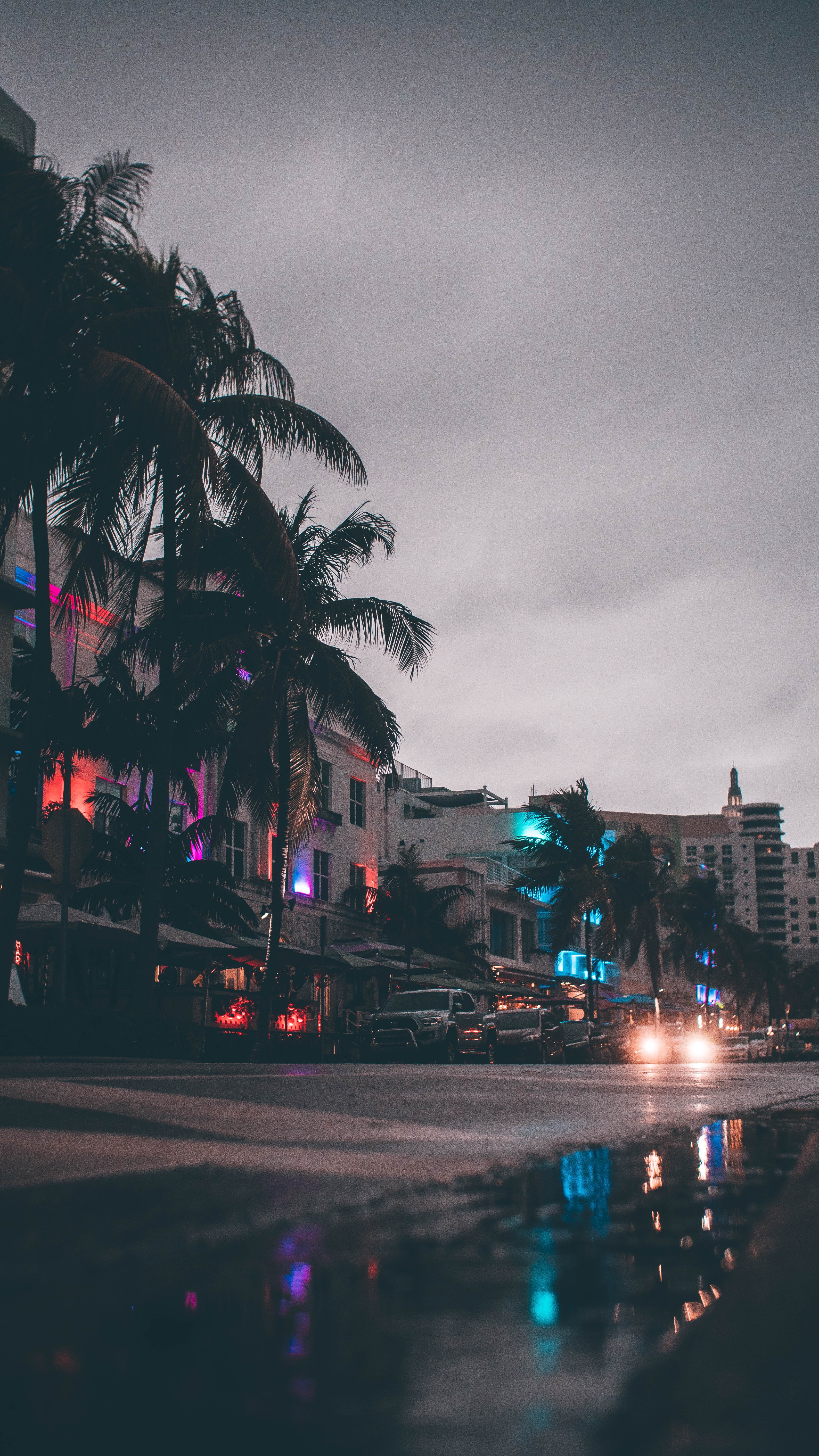 auto, miami, cities, palms, usa, building, united states, street for android