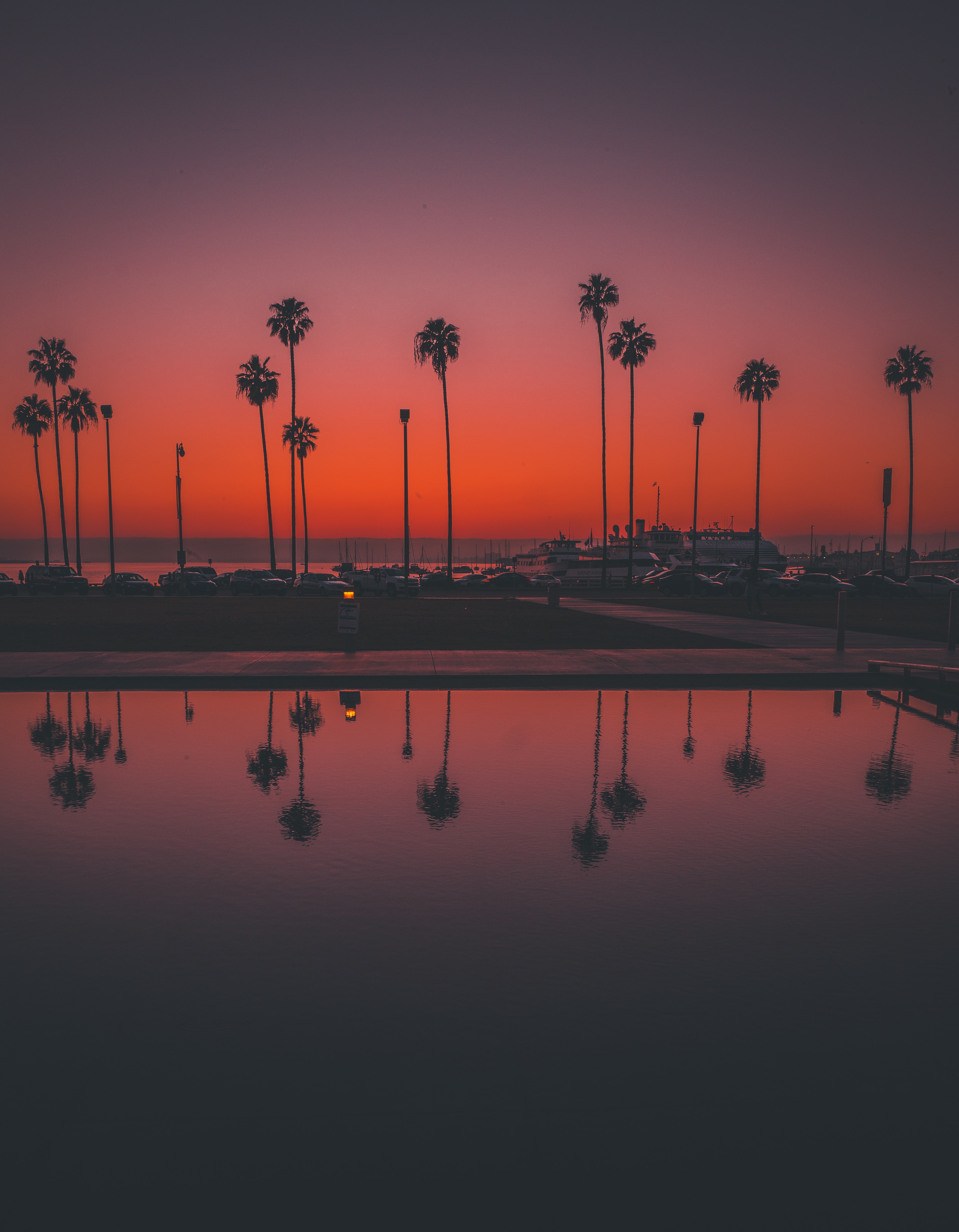 palms, sunset, nature, usa, reflection, united states, san diego Aesthetic wallpaper