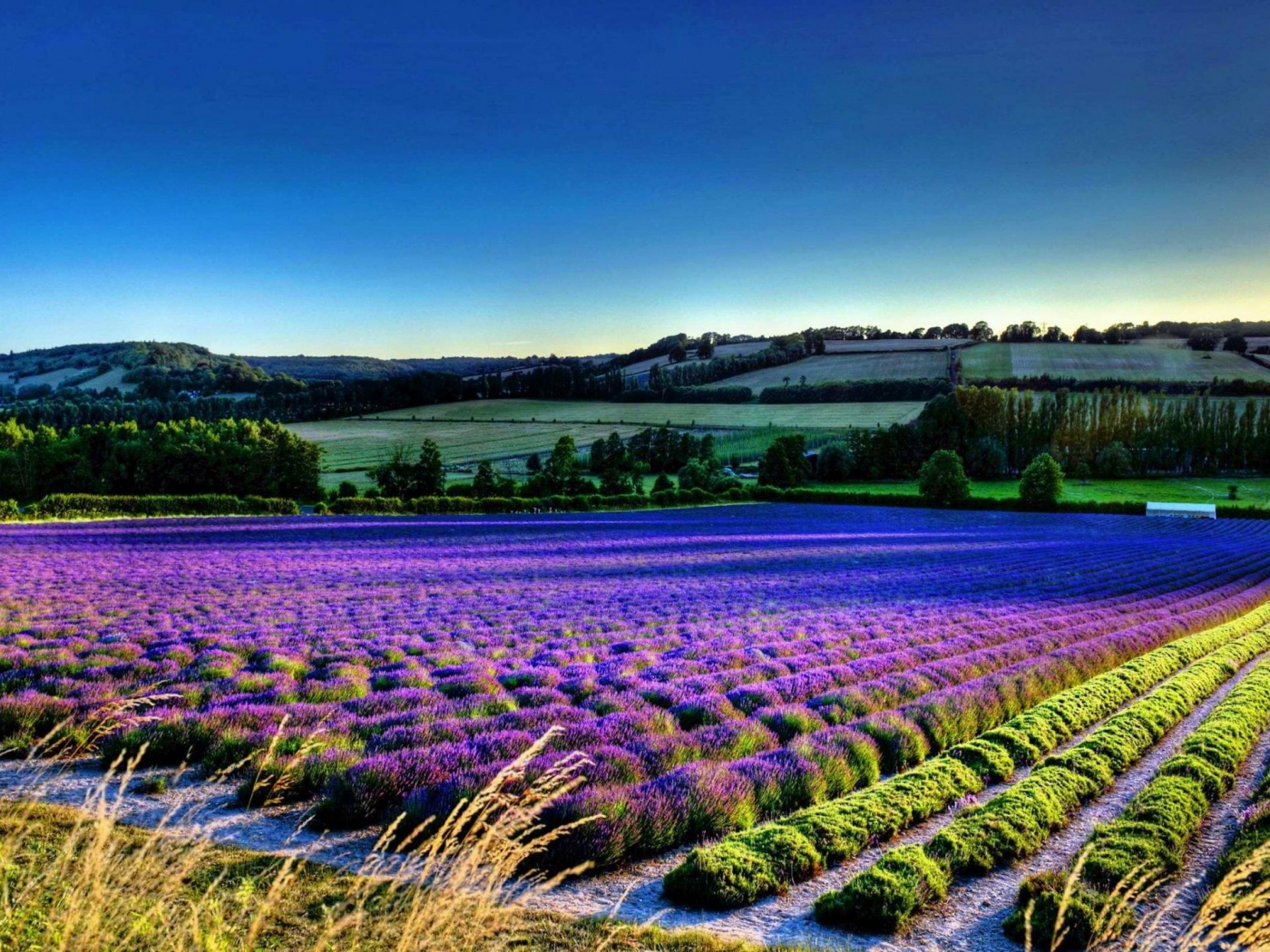 landscape Fields HD Android Wallpapers
