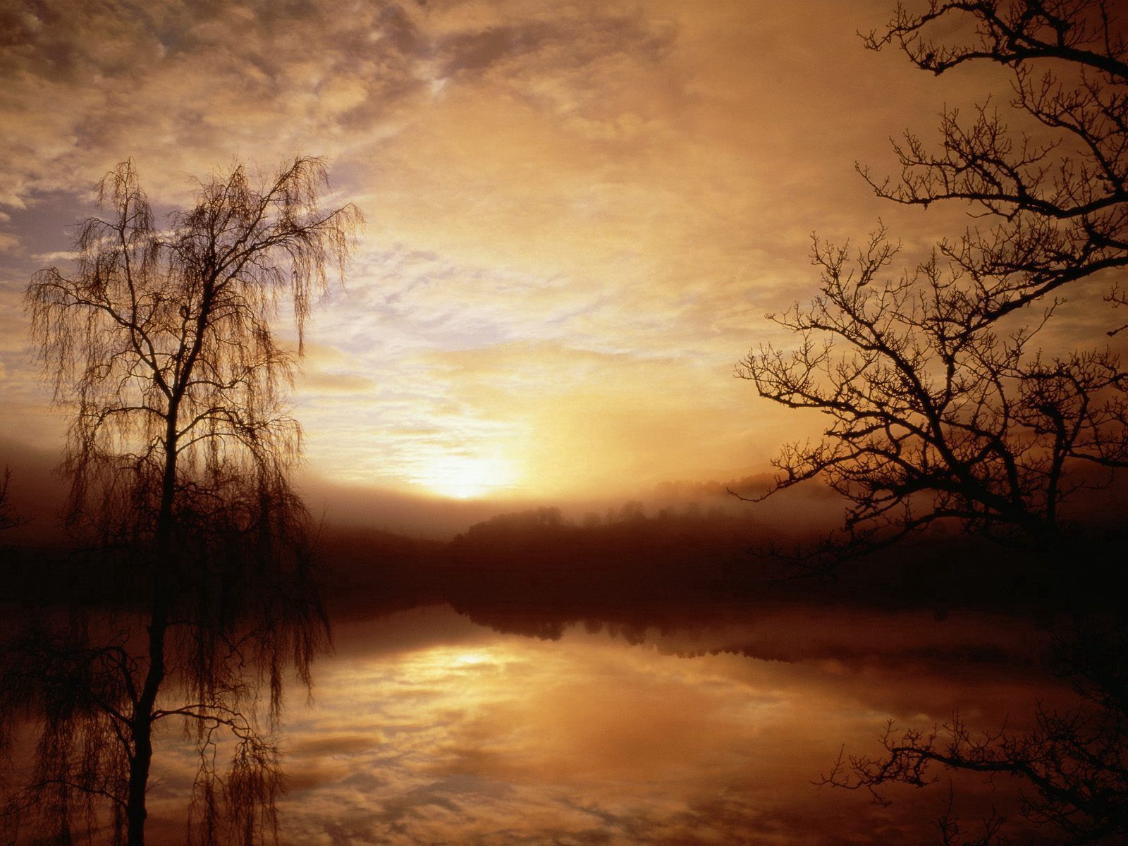 Laden Sie das Natur, Bäume, Morgendämmerung, See, Nebel, Morgen, Umrisse, Umreißt-Bild kostenlos auf Ihren PC-Desktop herunter