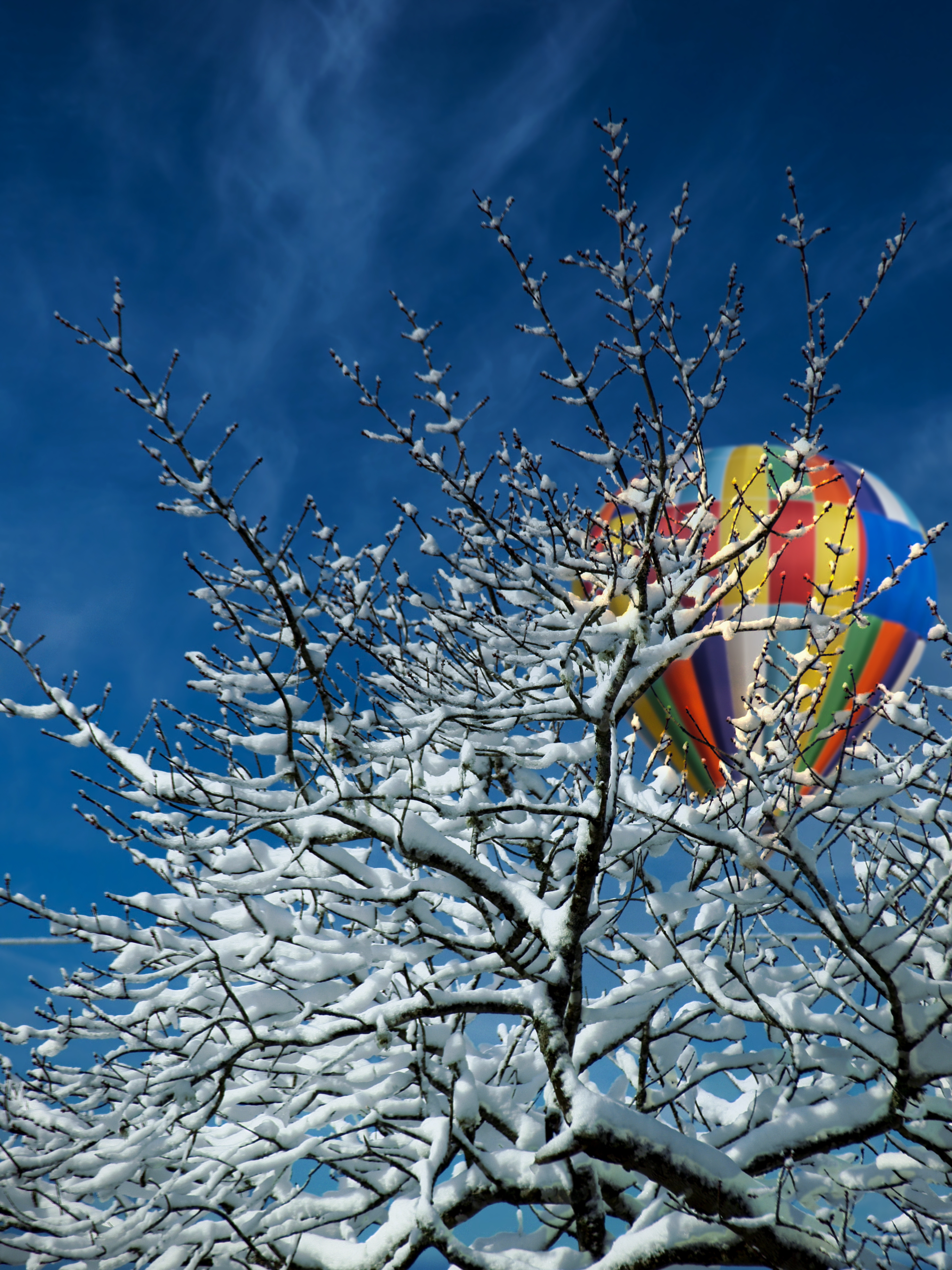 86734 Bildschirmschoner und Hintergrundbilder Luftballon auf Ihrem Telefon. Laden Sie winter, natur, schnee, holz, baum, luftballon, ballon Bilder kostenlos herunter