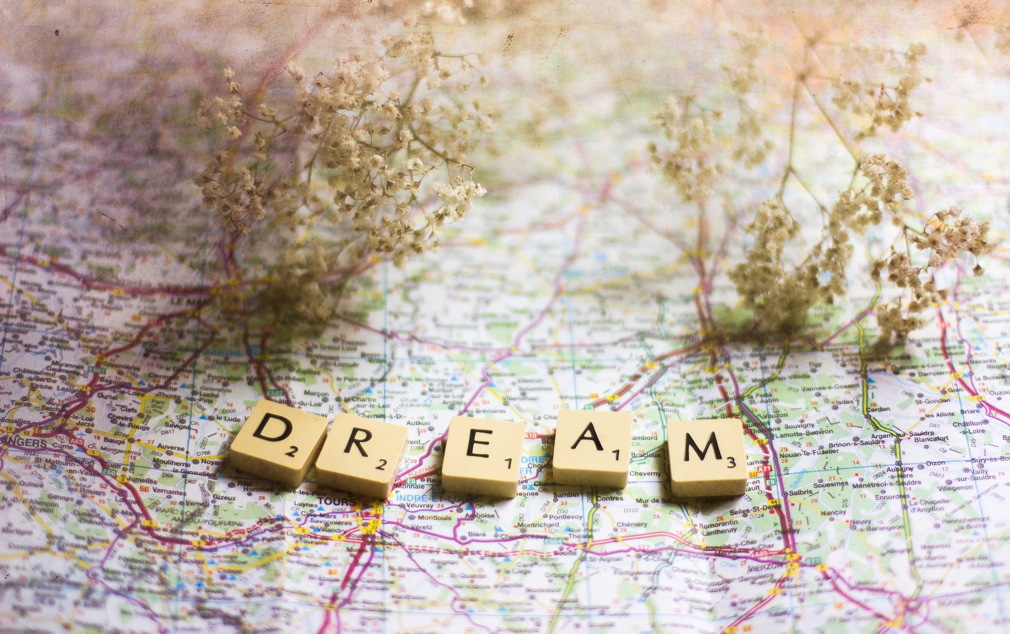 words, dream, branch, map Square Wallpapers