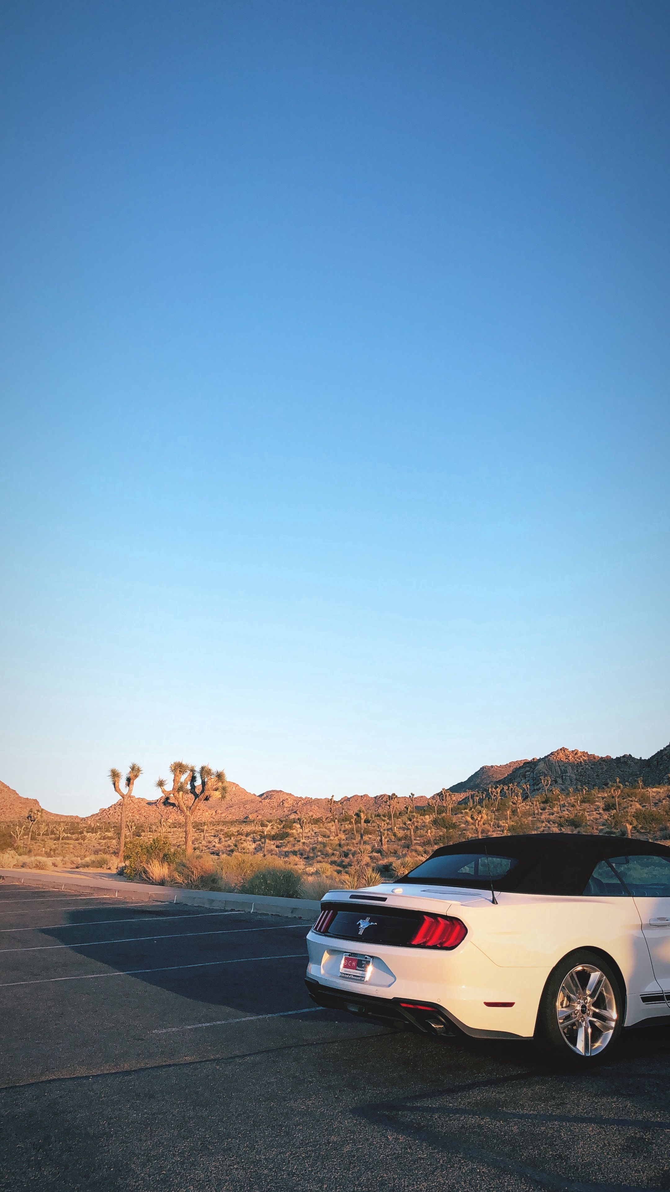 ford mustang, desert, cars, car, journey, rear bumper