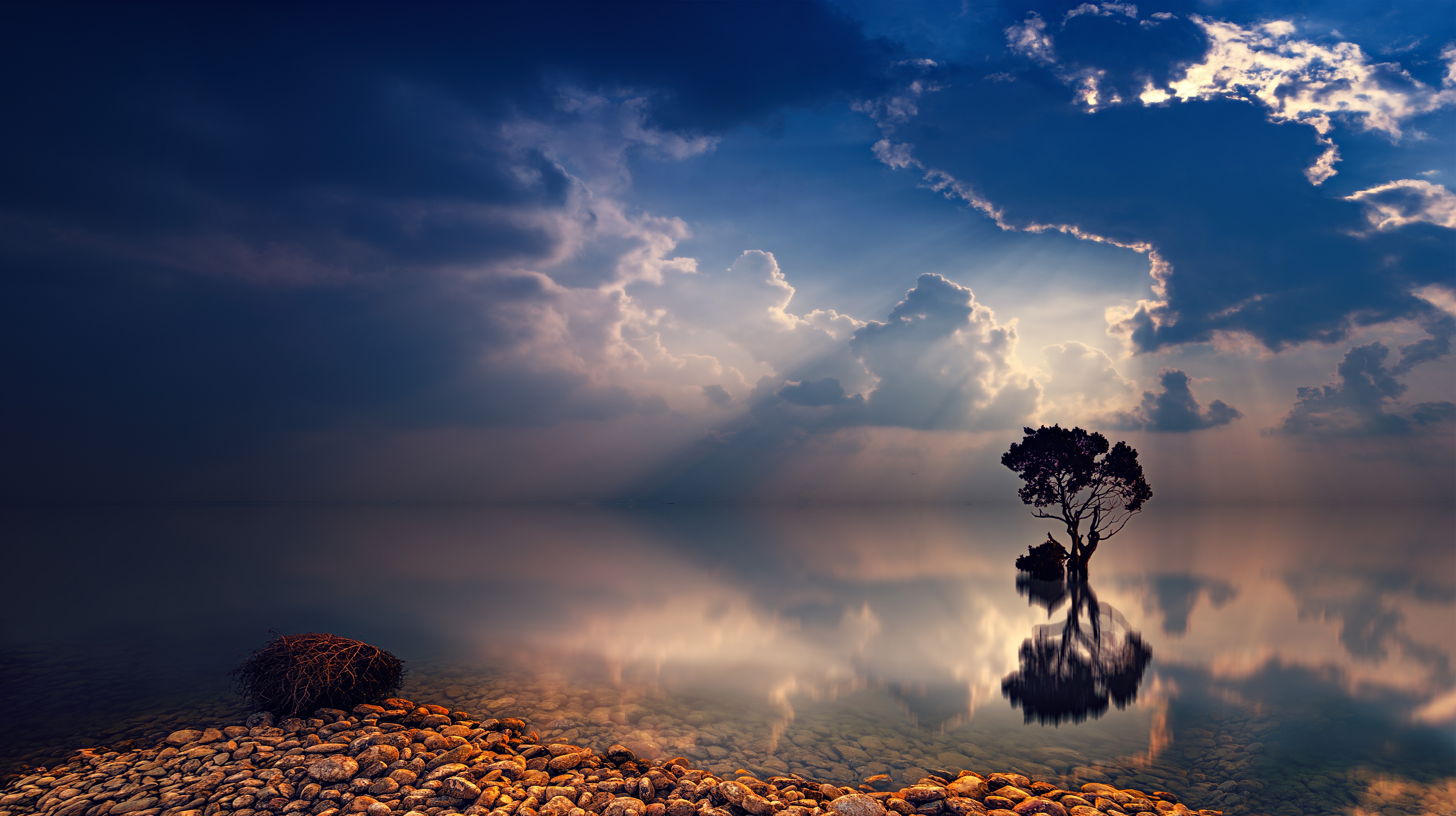 nature, trees, stone, earth, tree, cloud, lonely tree, ocean, reflection, sunbeam, twilight wallpaper for mobile