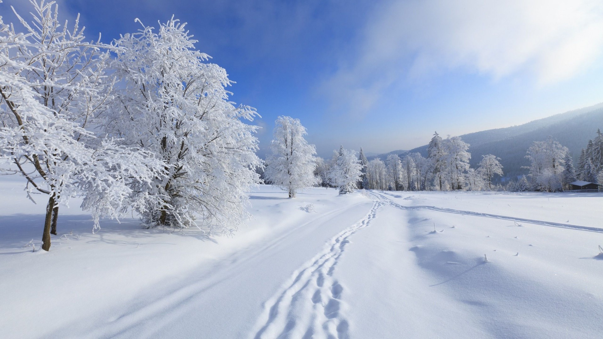 37535 скачать обои пейзаж, зима, снег, синие - заставки и картинки бесплатно