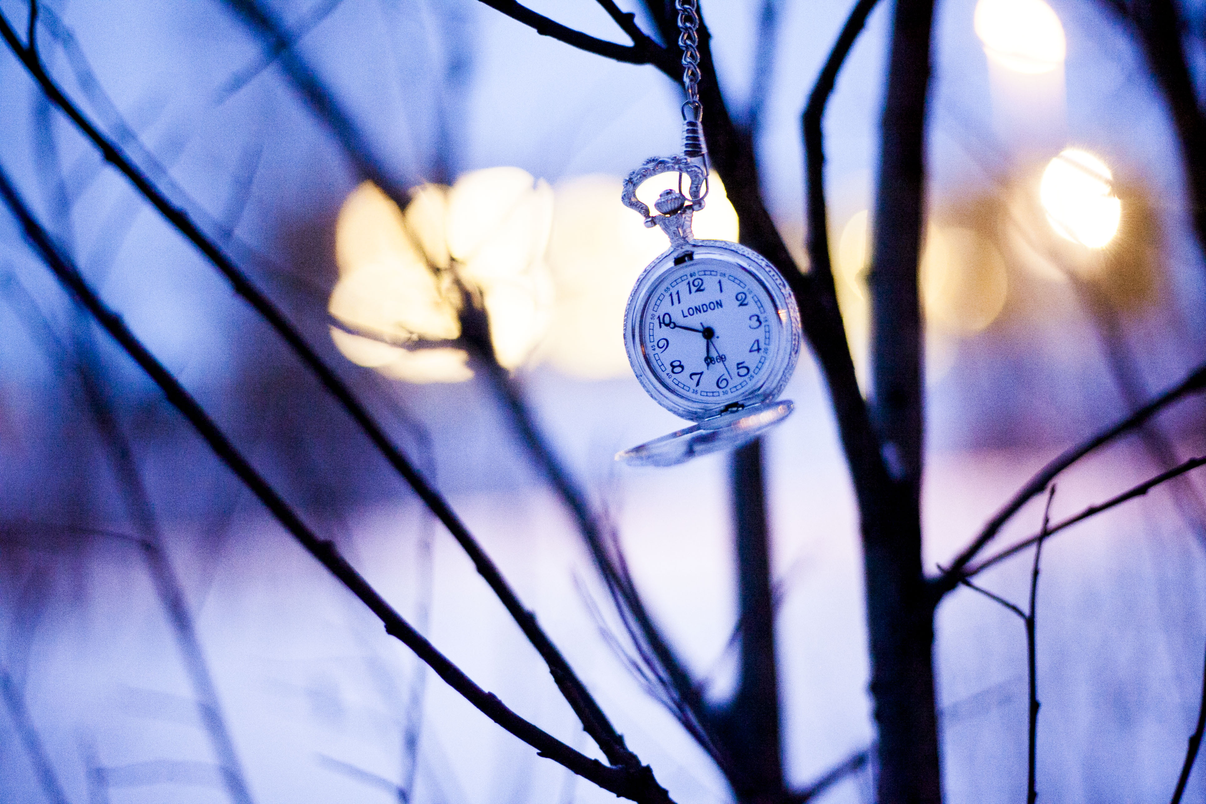 100216 download wallpaper winter, clock, miscellanea, miscellaneous, branches, pocket watch screensavers and pictures for free