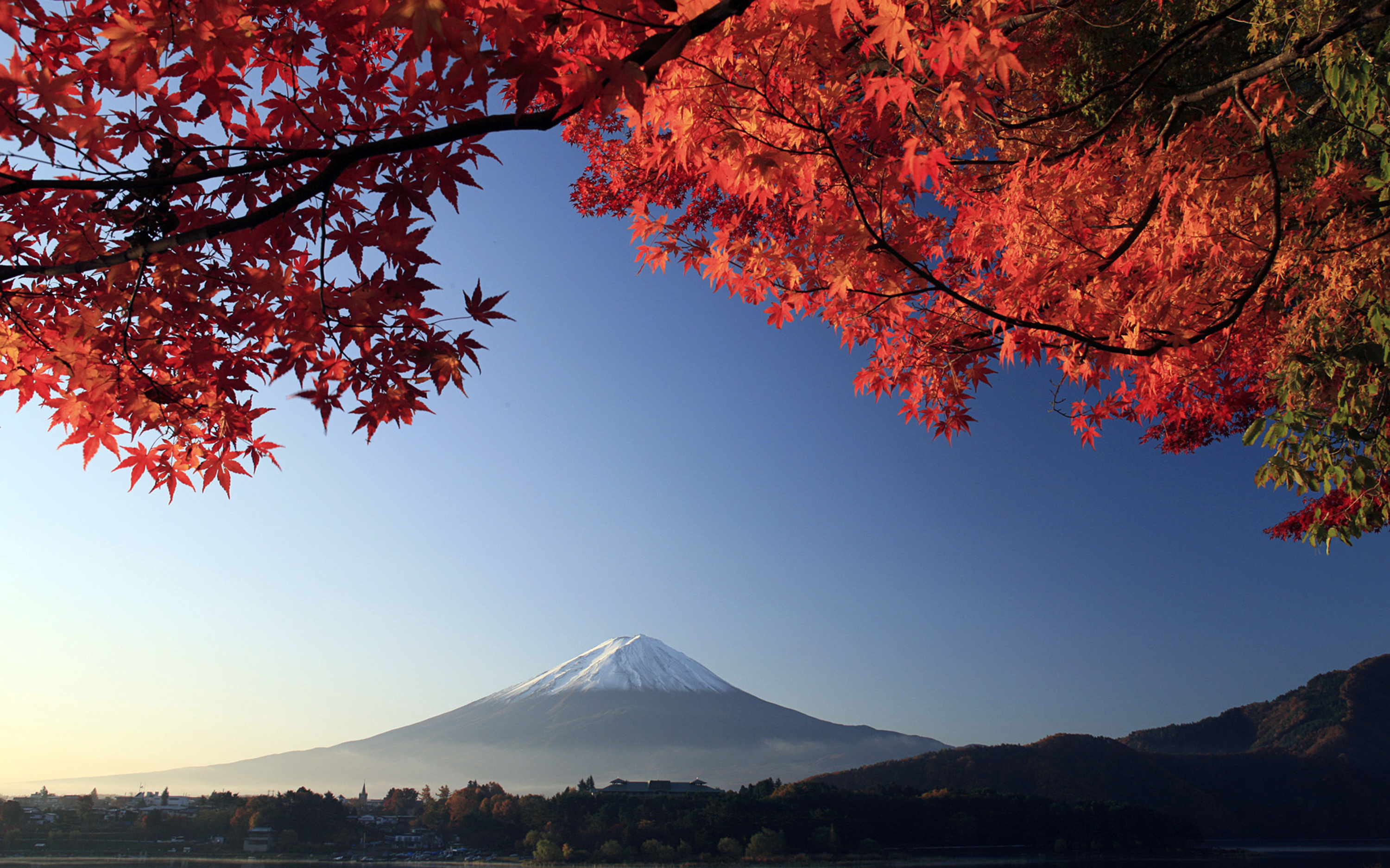 227182壁紙のダウンロード日本, 地球, 富士山, 秋, 火山-スクリーンセーバーと写真を無料で