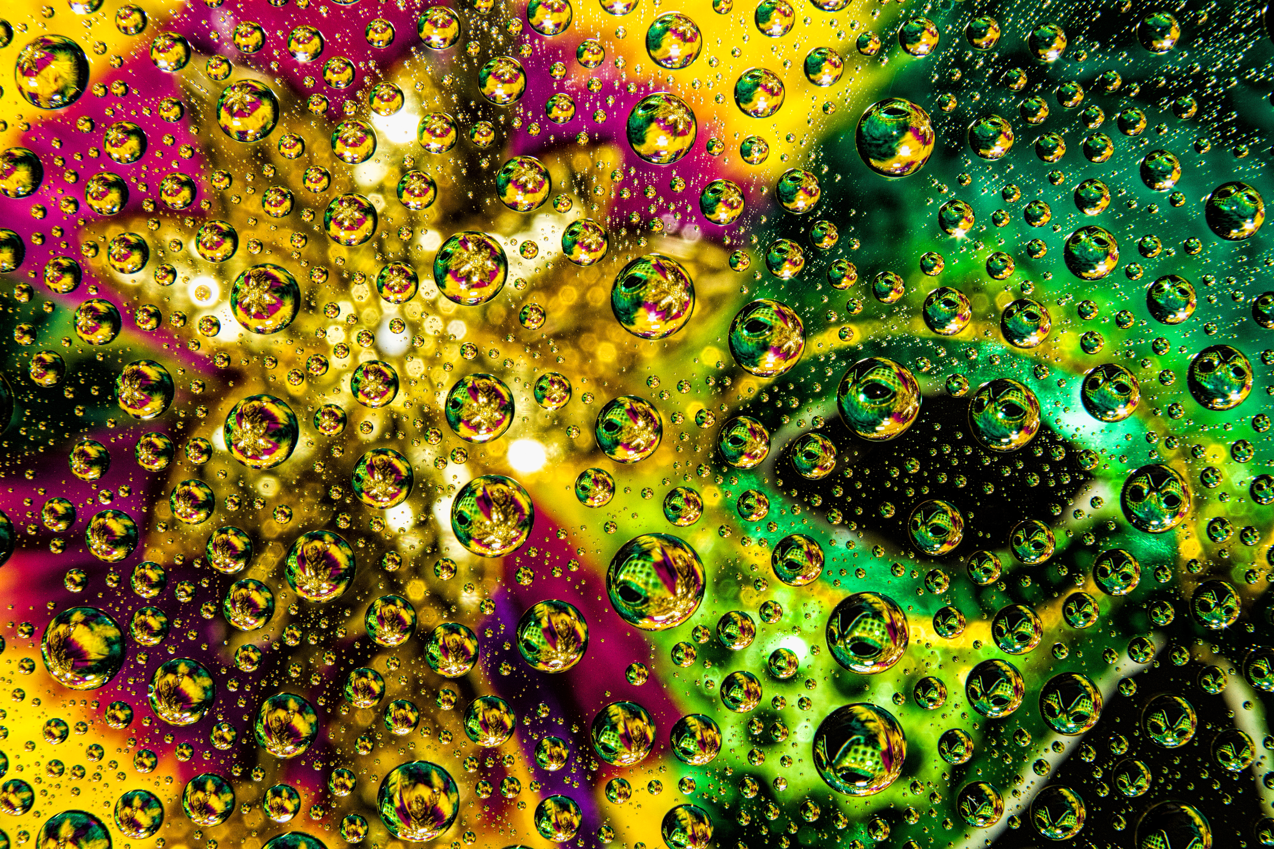 abstract, drops, multicolored, motley, bubble