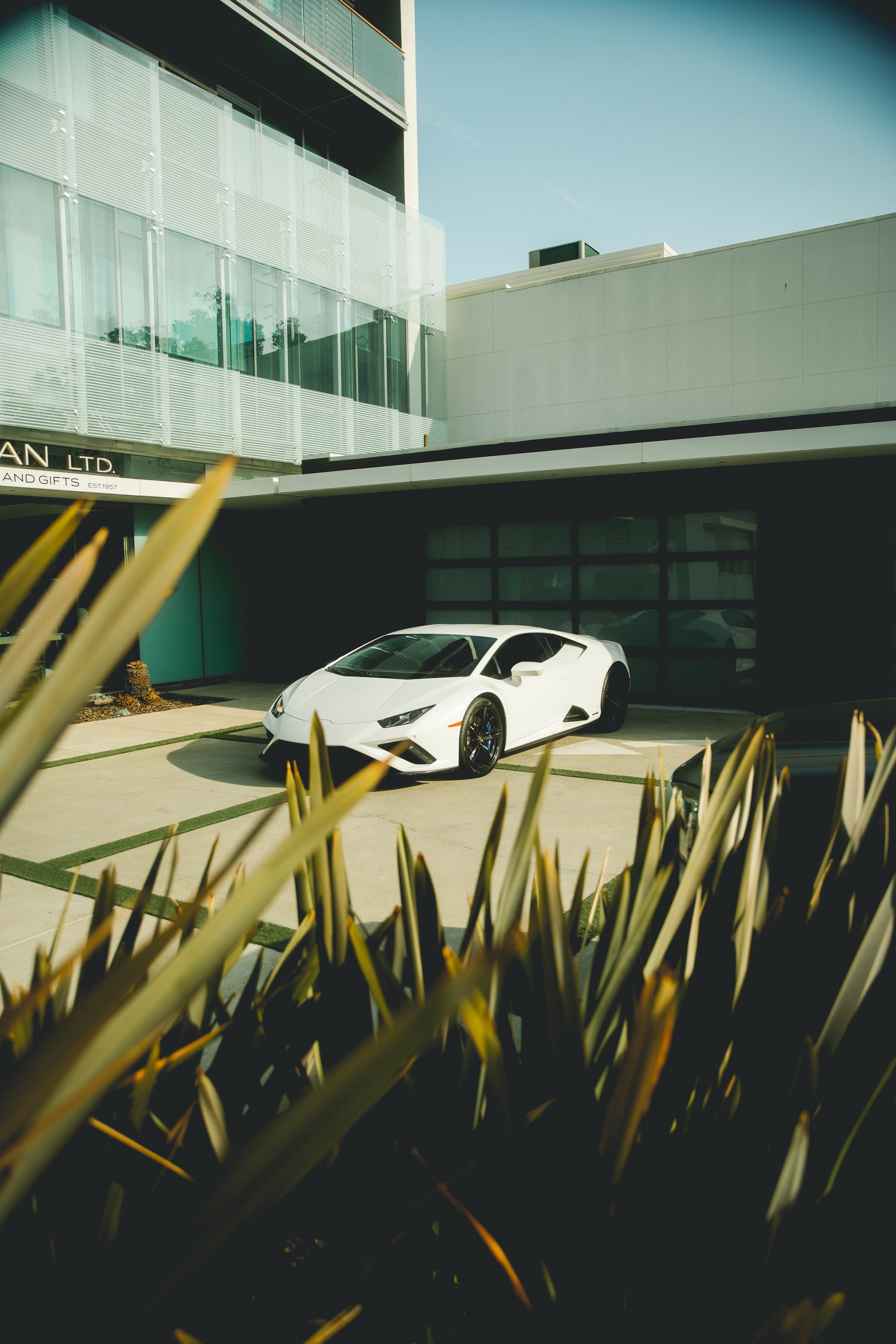 113745 Bildschirmschoner und Hintergrundbilder Lamborghini Huracan auf Ihrem Telefon. Laden Sie lamborghini, auto, blätter, cars, weiß, gebäude, wagen, lamborghini huracan Bilder kostenlos herunter