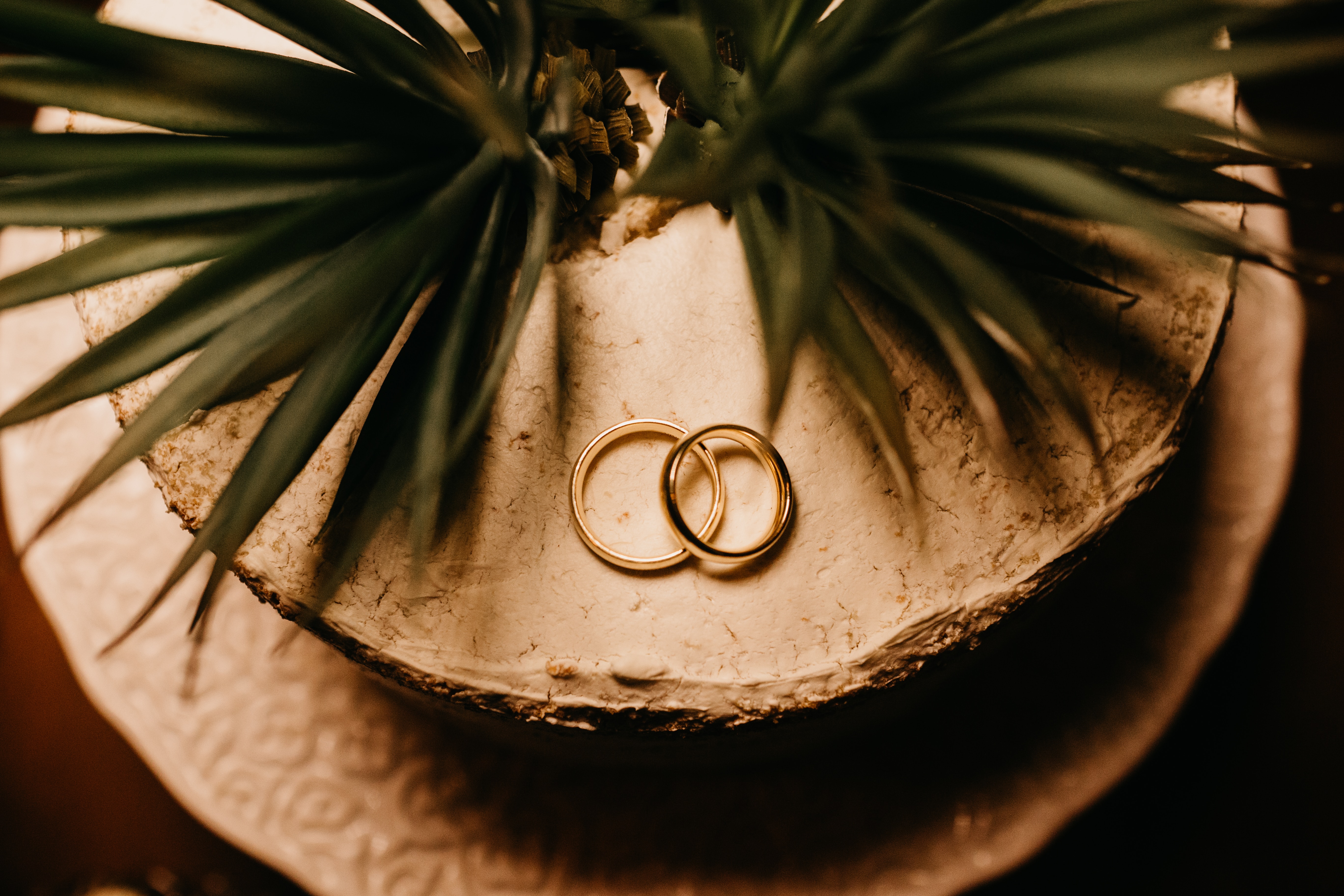 Widescreen image love, holidays, rings, gold