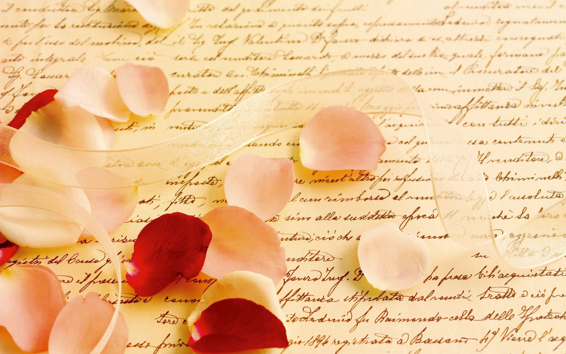 75804 download wallpaper miscellanea, miscellaneous, rose flower, rose, petals, tape, letter, parchment screensavers and pictures for free