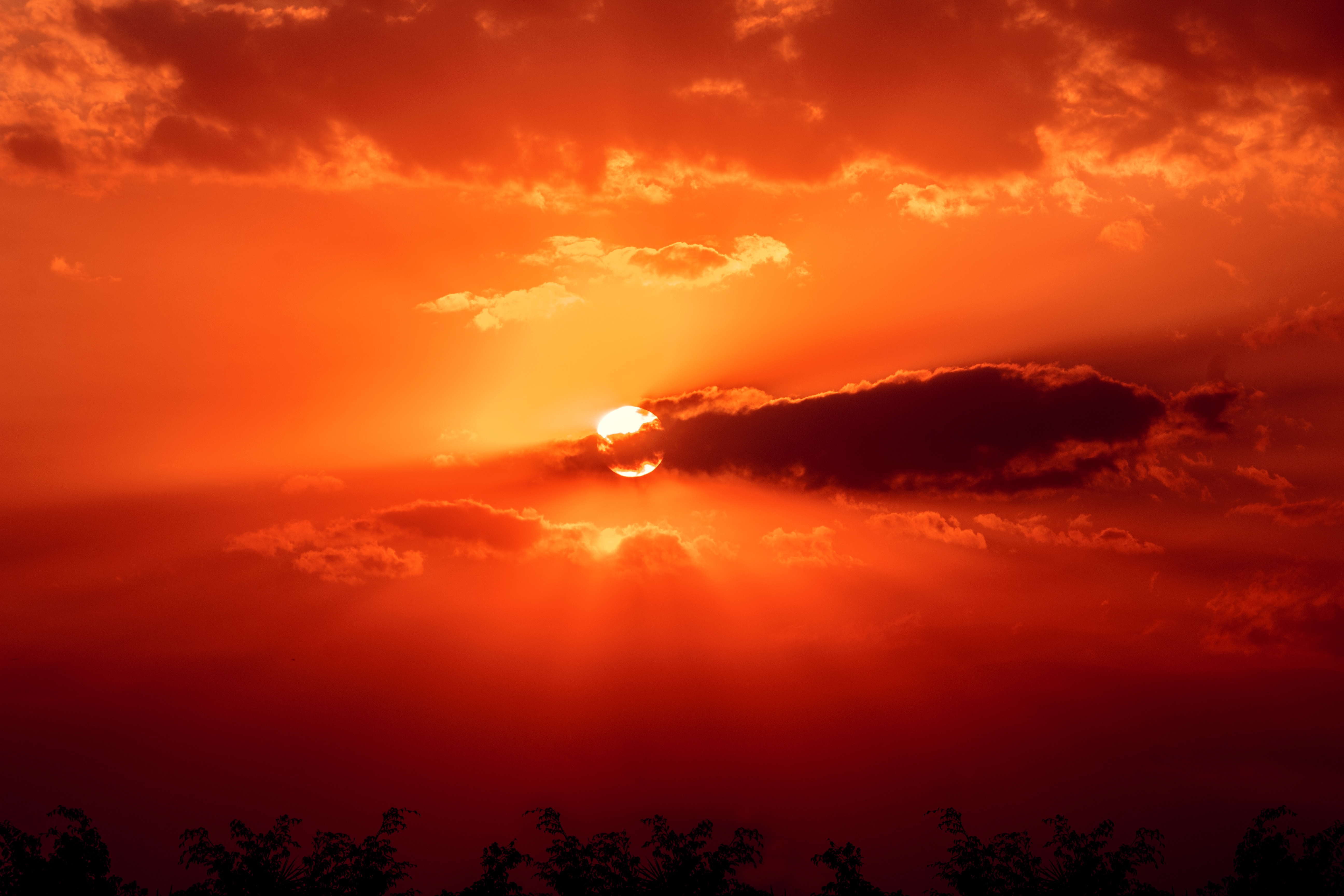 sunset, nature, sky, sun, clouds, horizon wallpapers for tablet