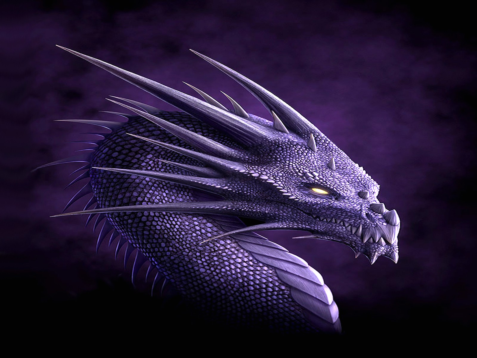 purple, dragon, fantasy phone wallpaper