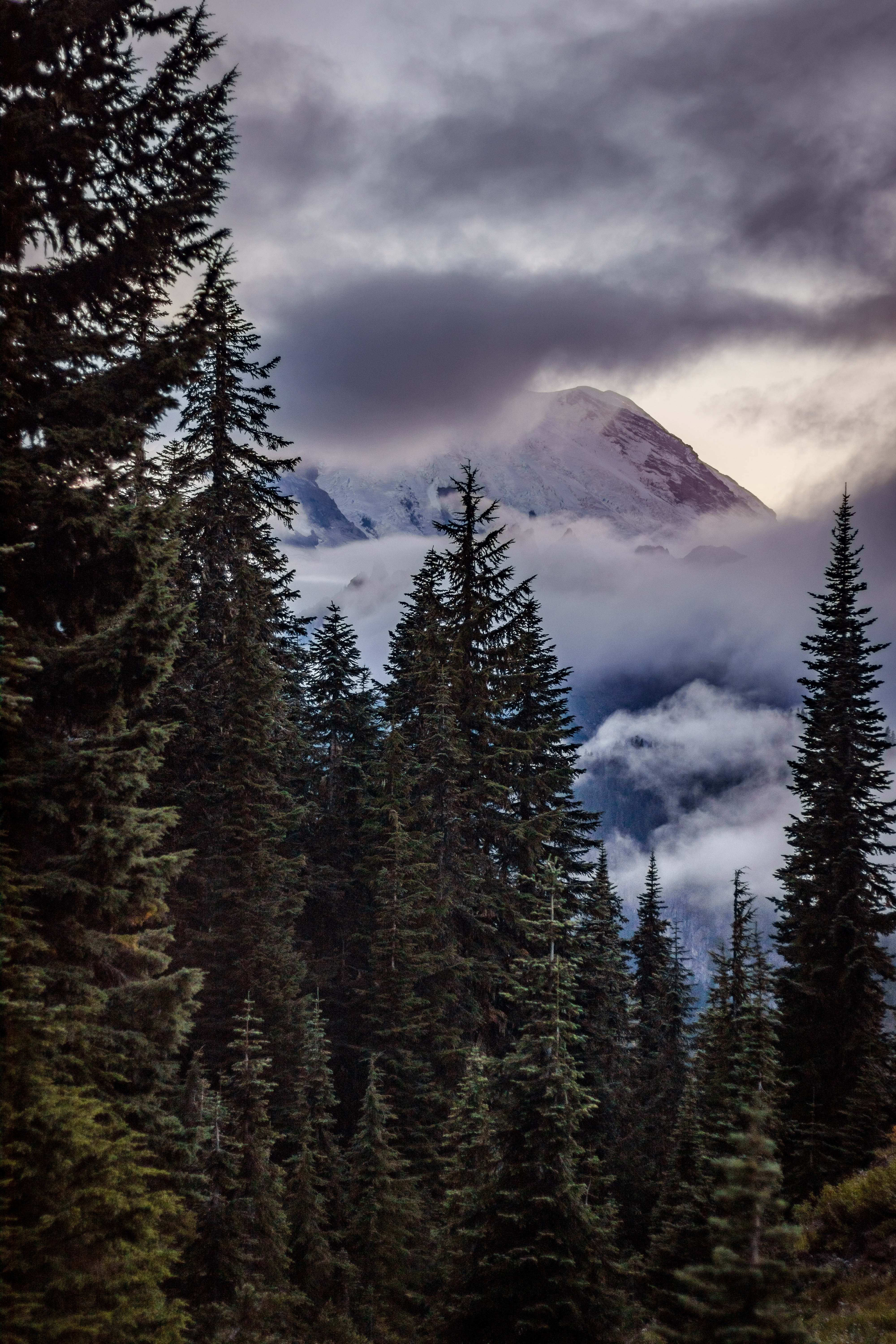 clouds, nature, trees, sky, mountains, spruce, fir