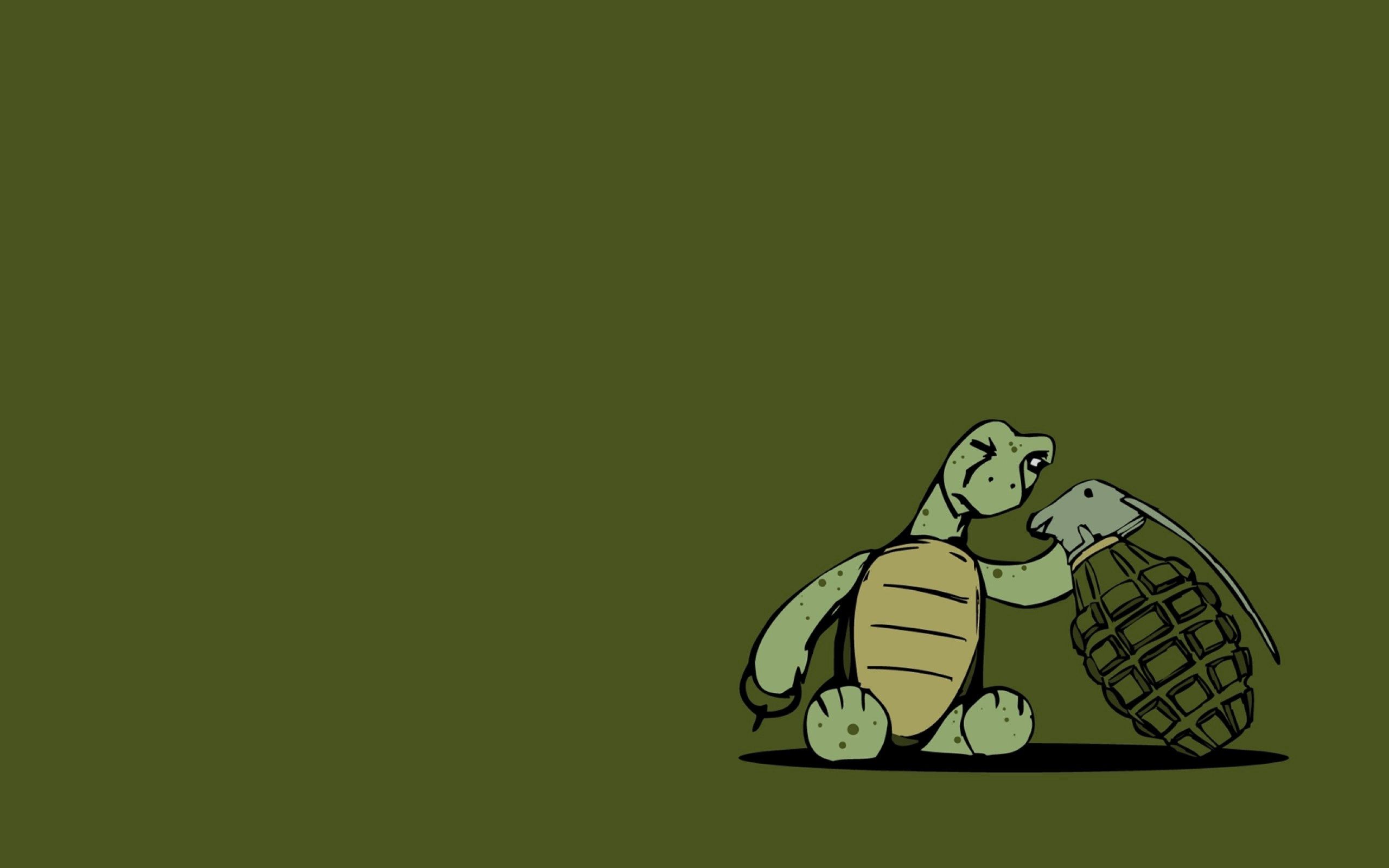 Best Turtle wallpapers for phone screen