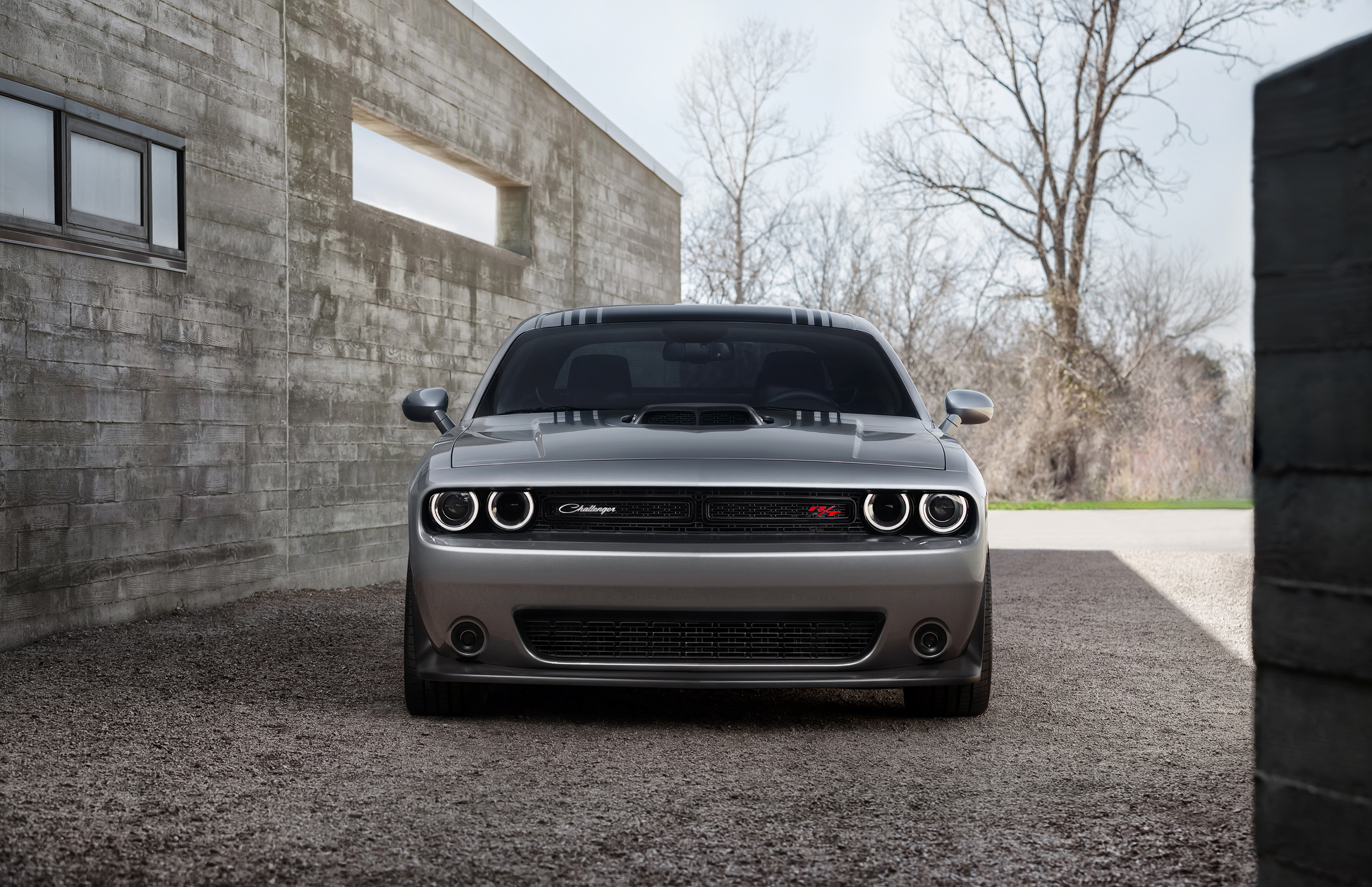 114283 download wallpaper dodge, cars, front view, grey, 2015, challenger, hemi, 392, scat pack shaker screensavers and pictures for free