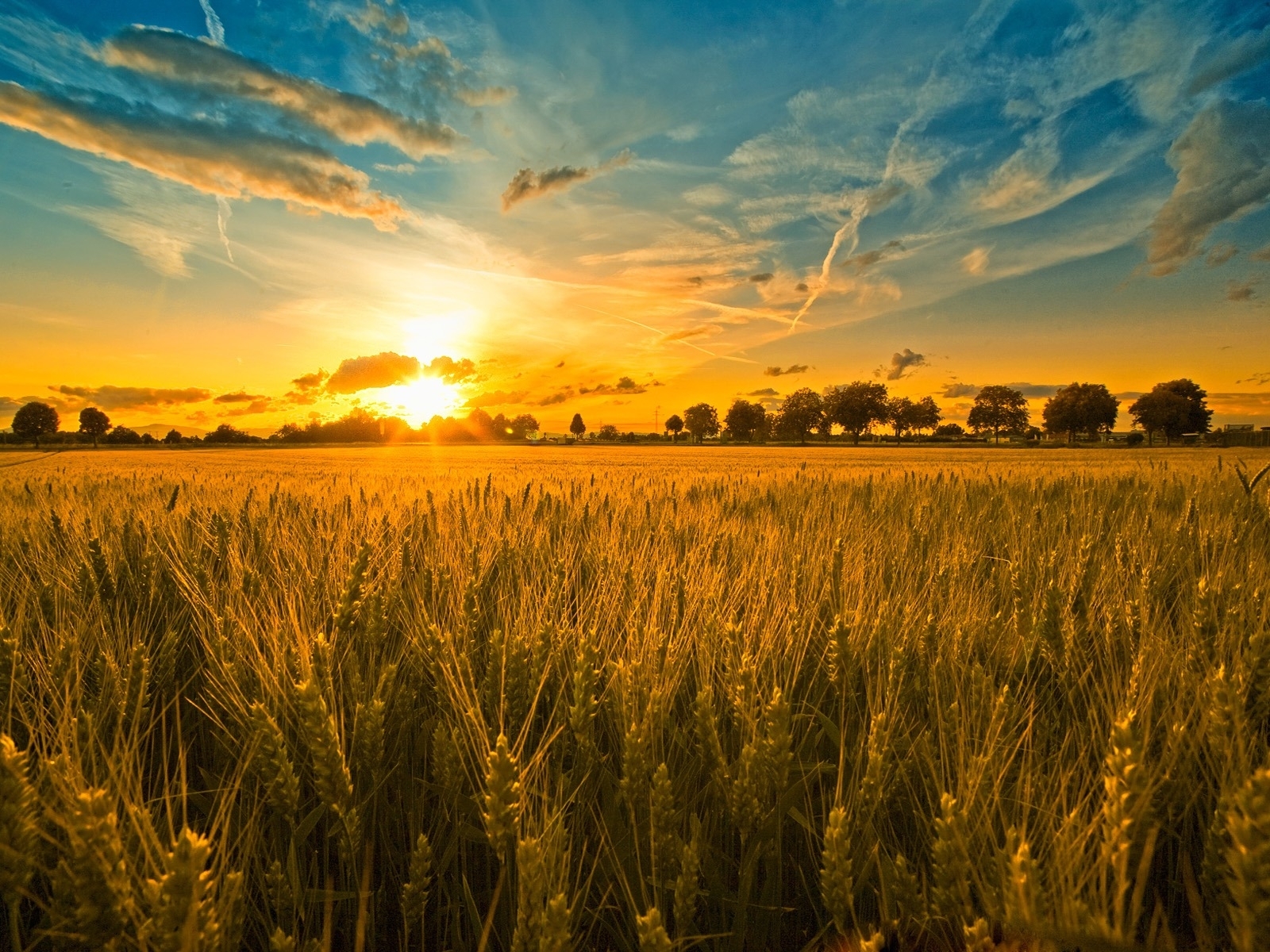 Laden Sie das Landschaft, Sunset, Felder, Sky, Sun, Weizen-Bild kostenlos auf Ihren PC-Desktop herunter