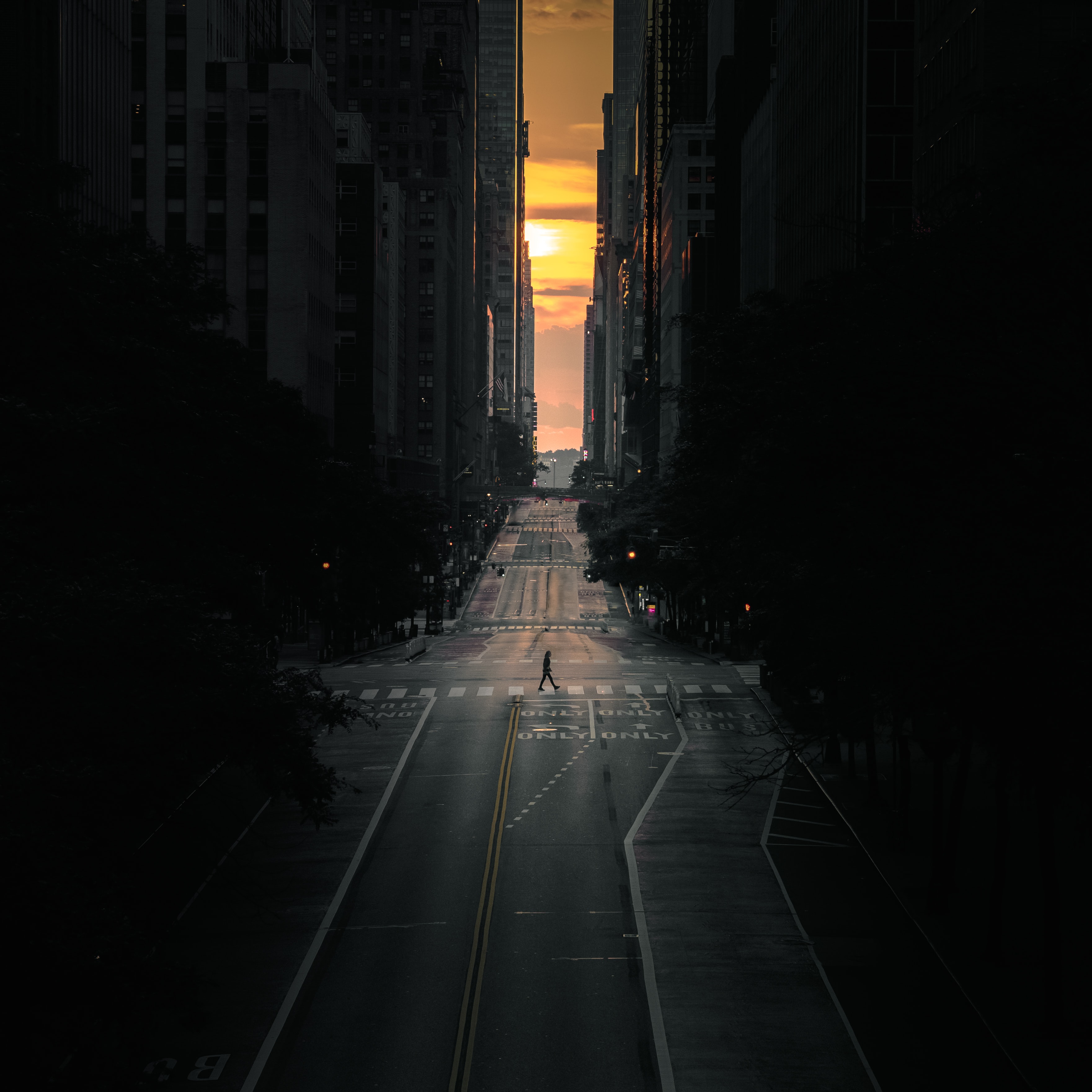 human, loneliness, emptiness, road, city, miscellanea, miscellaneous, person, void mobile wallpaper