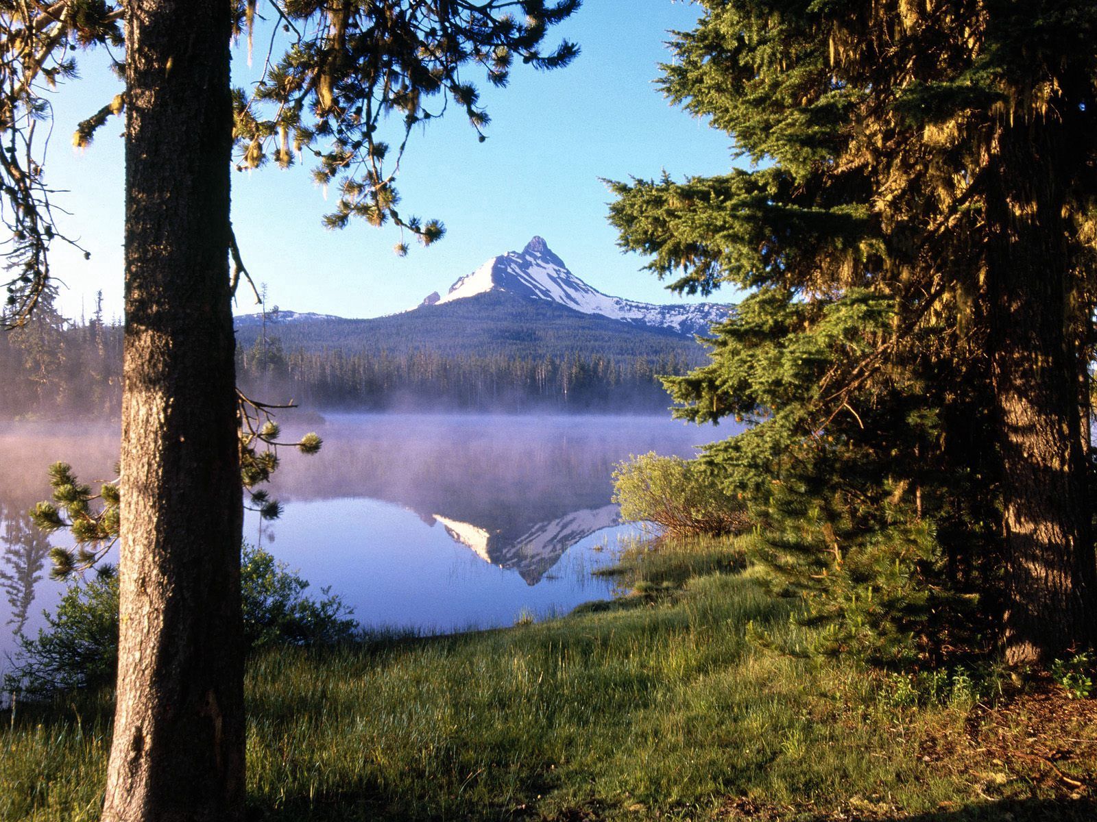 Laden Sie das Natur, Berg, See, Reflexion, Holz, Wald, Baum, Nebel, Kofferraum, Verdunstung, Verdampfung-Bild kostenlos auf Ihren PC-Desktop herunter