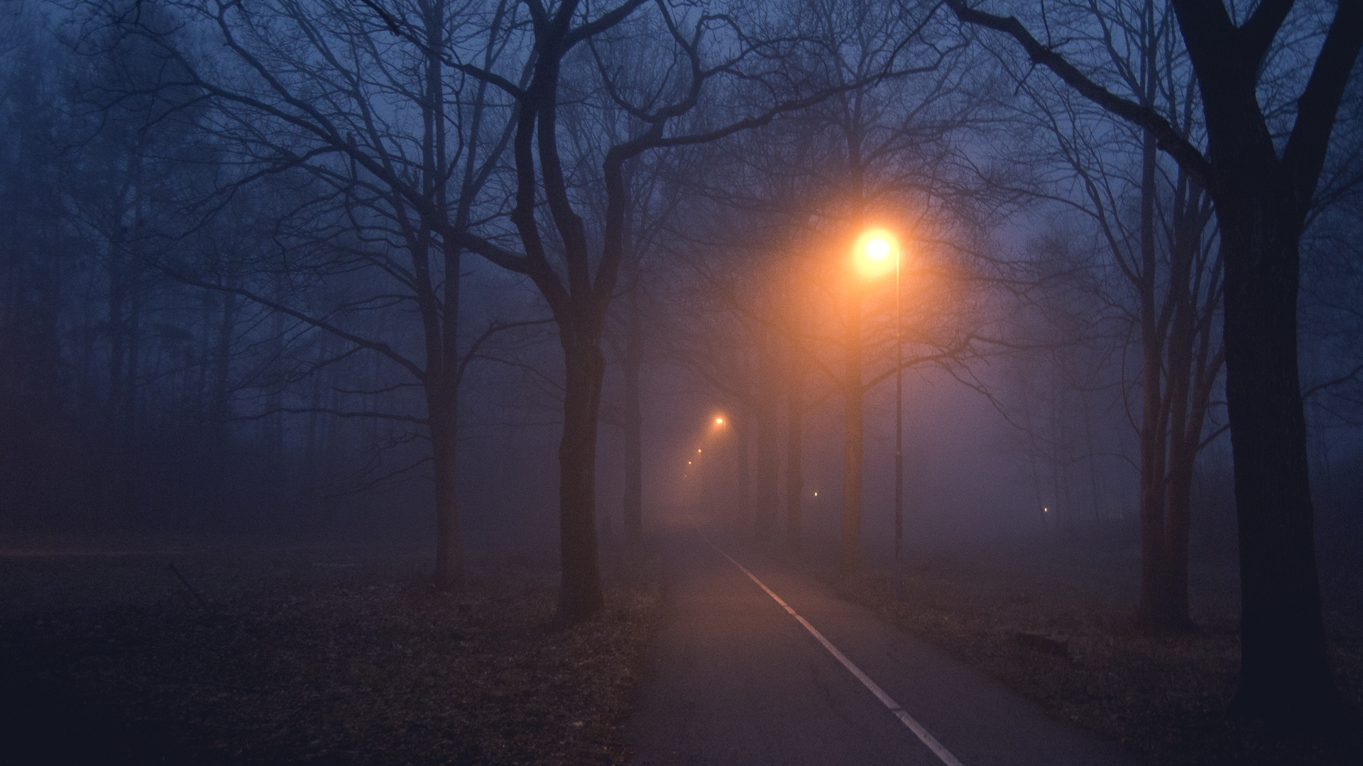 Дорога туман ночь