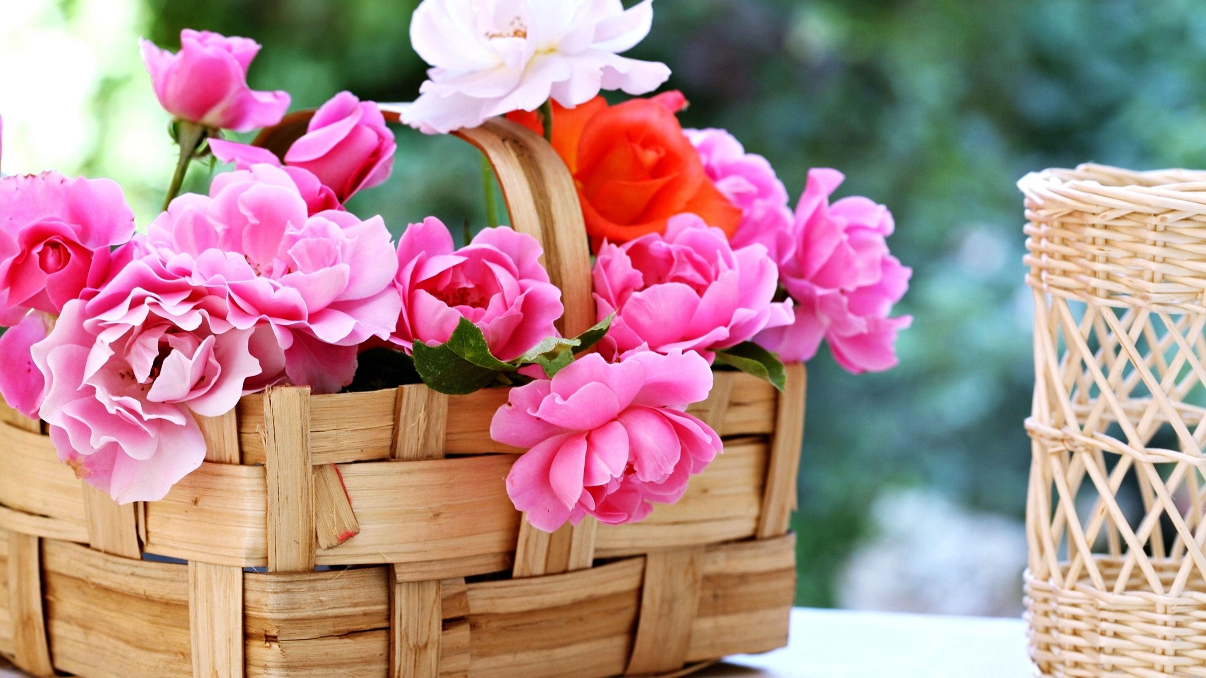 man made, flower, basket, rose, spring HD wallpaper