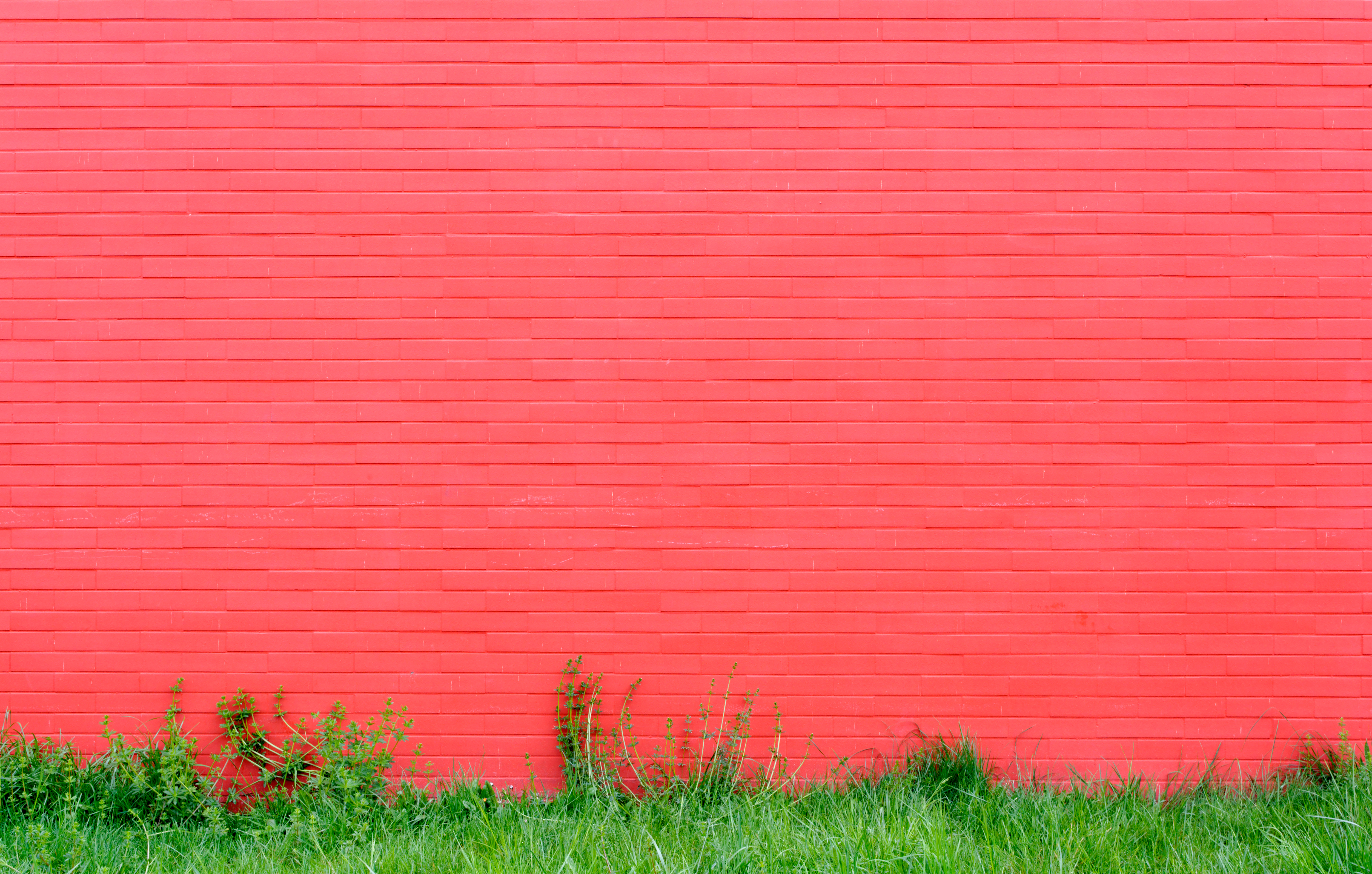 miscellanea, grass, pink, miscellaneous, wall, bricks