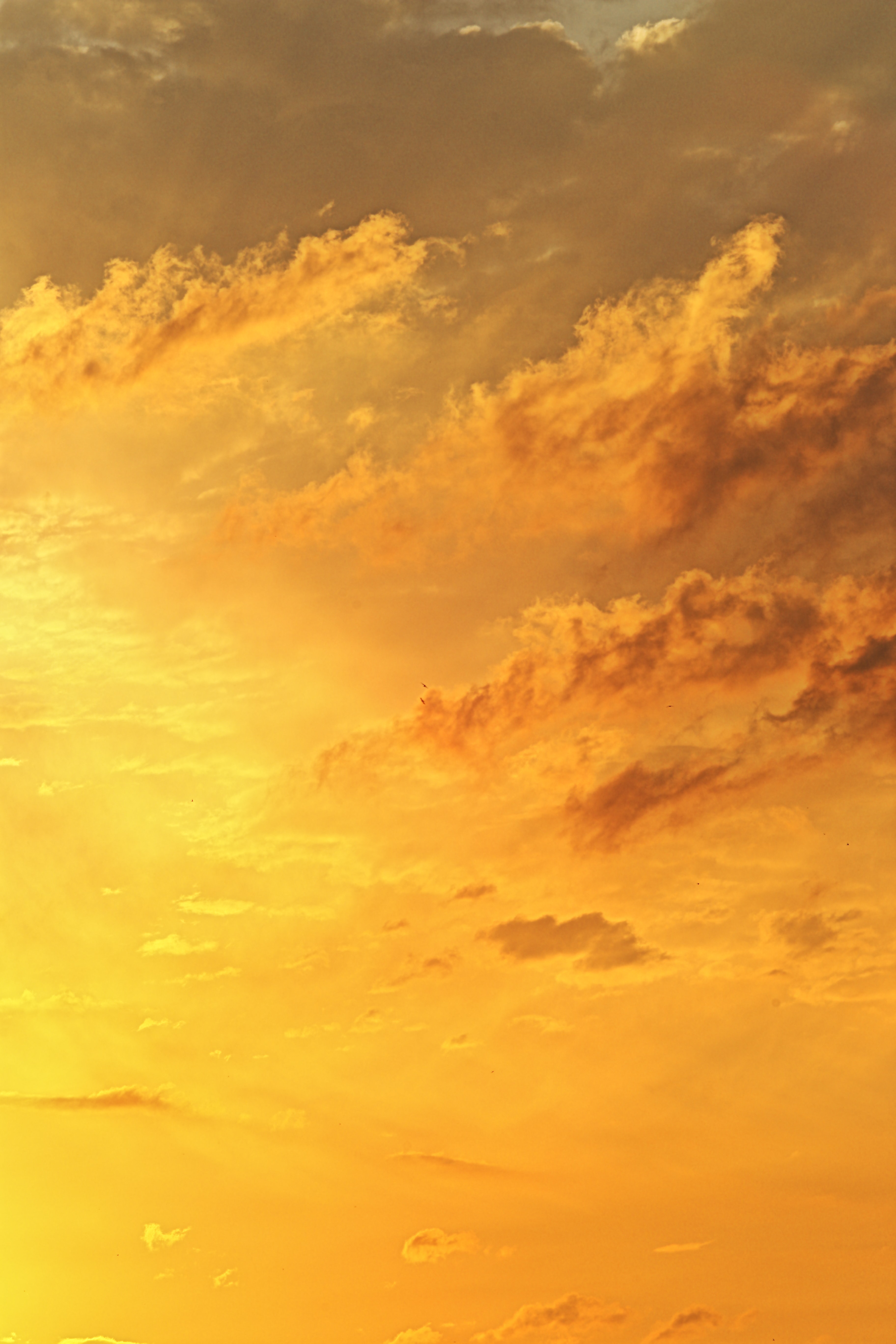 clouds, sunset, sky, nature download for free